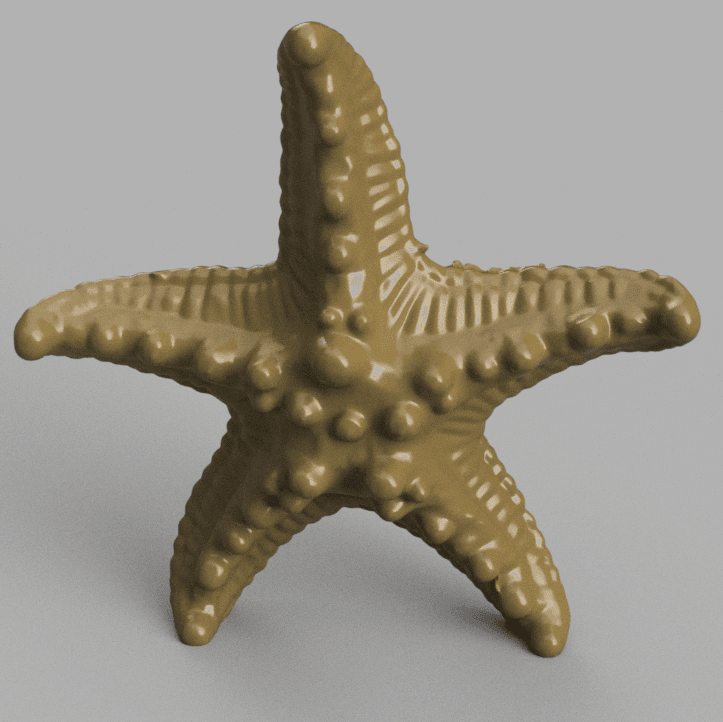 starfish 3d model