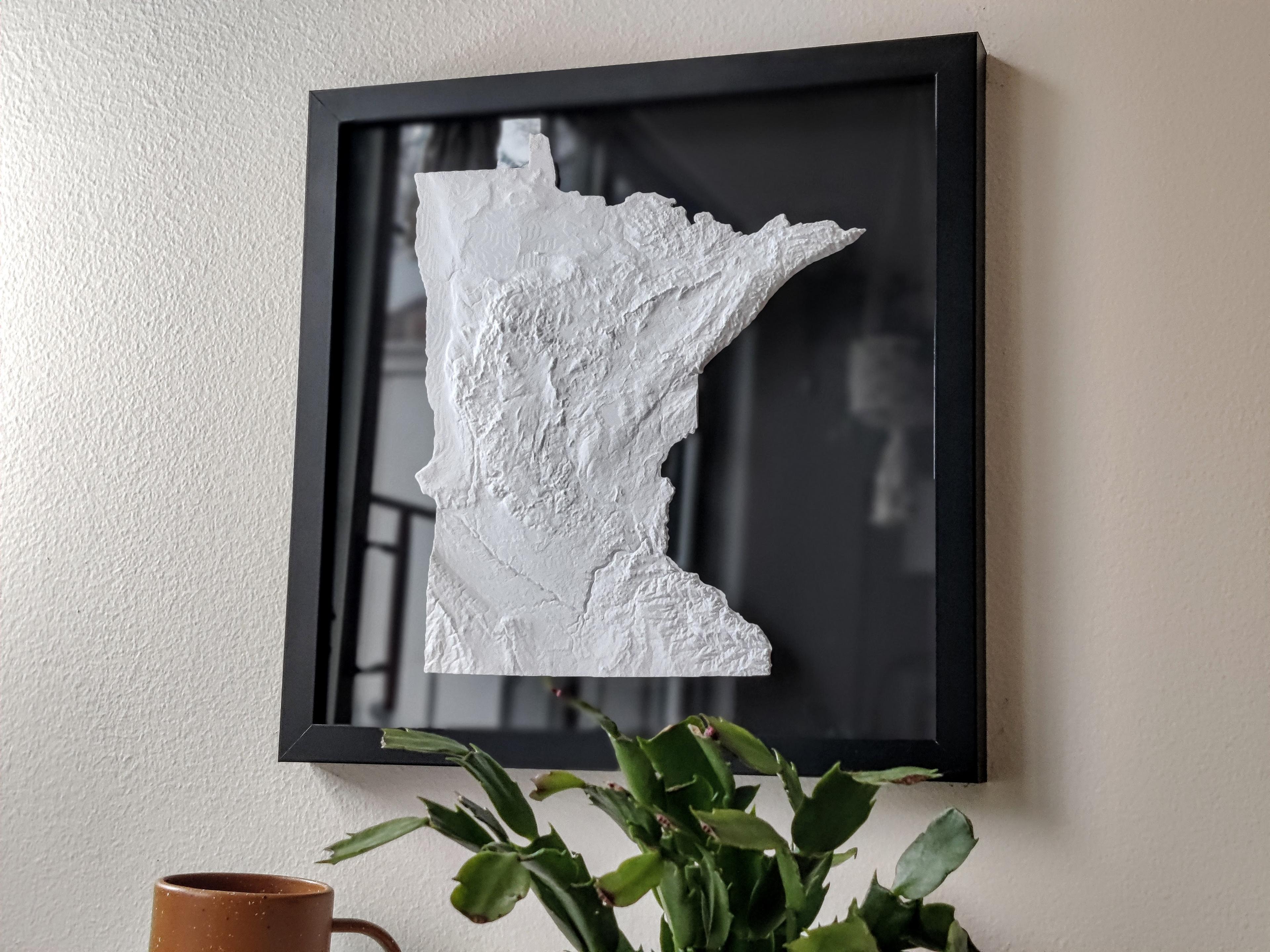 Minnesota 3d model