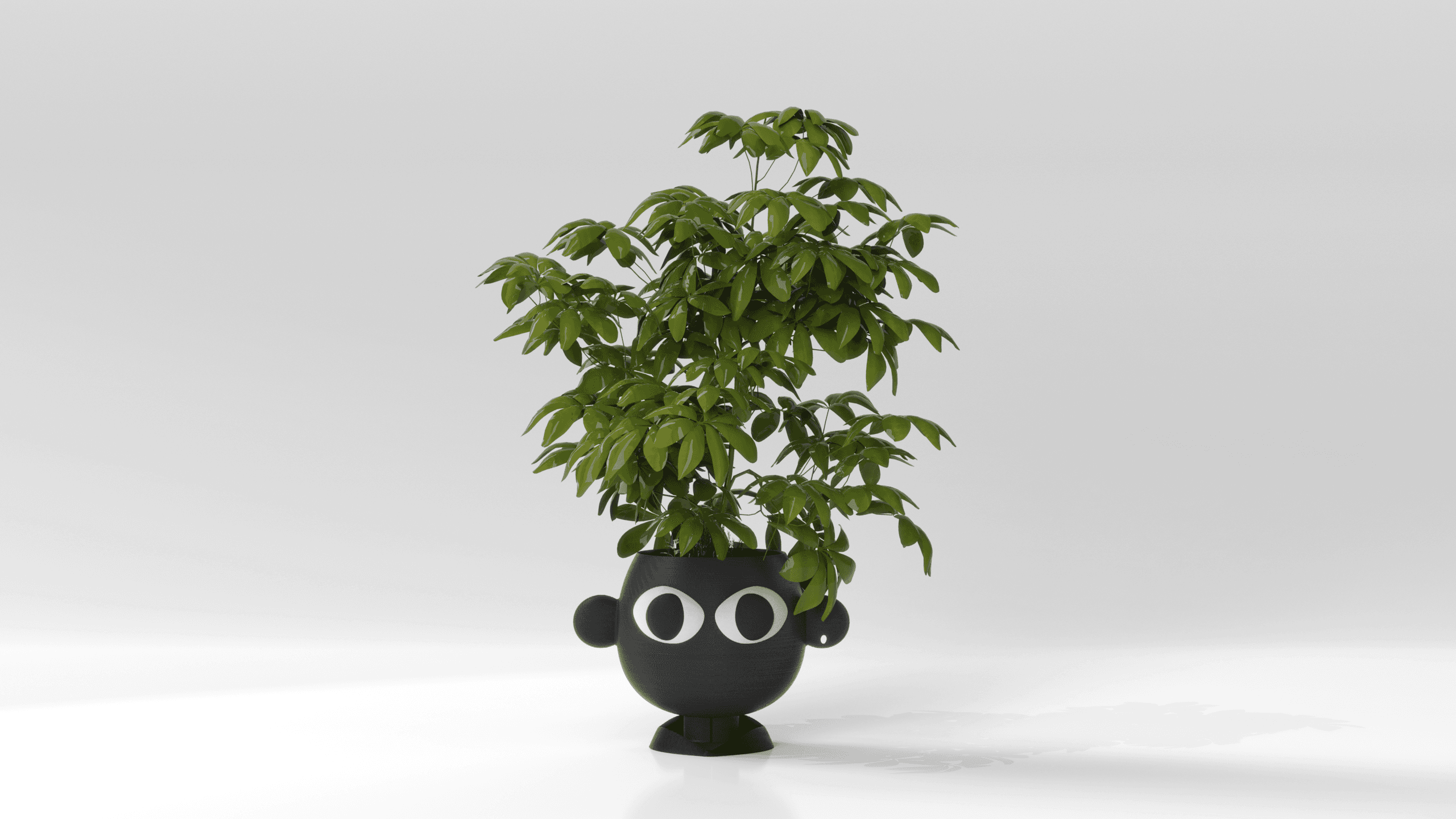 PLANTER - COUPLE POTS  3d model