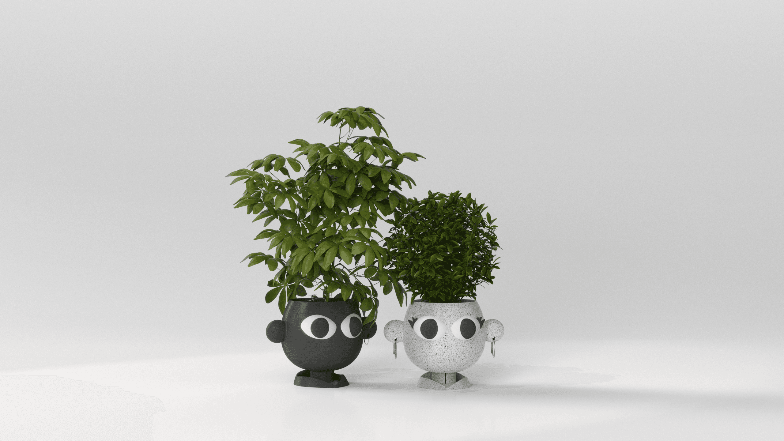 PLANTER - COUPLE POTS  3d model