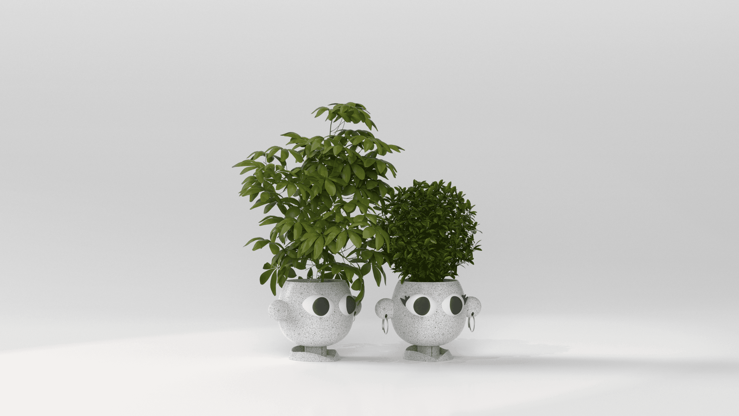 PLANTER - COUPLE POTS  3d model