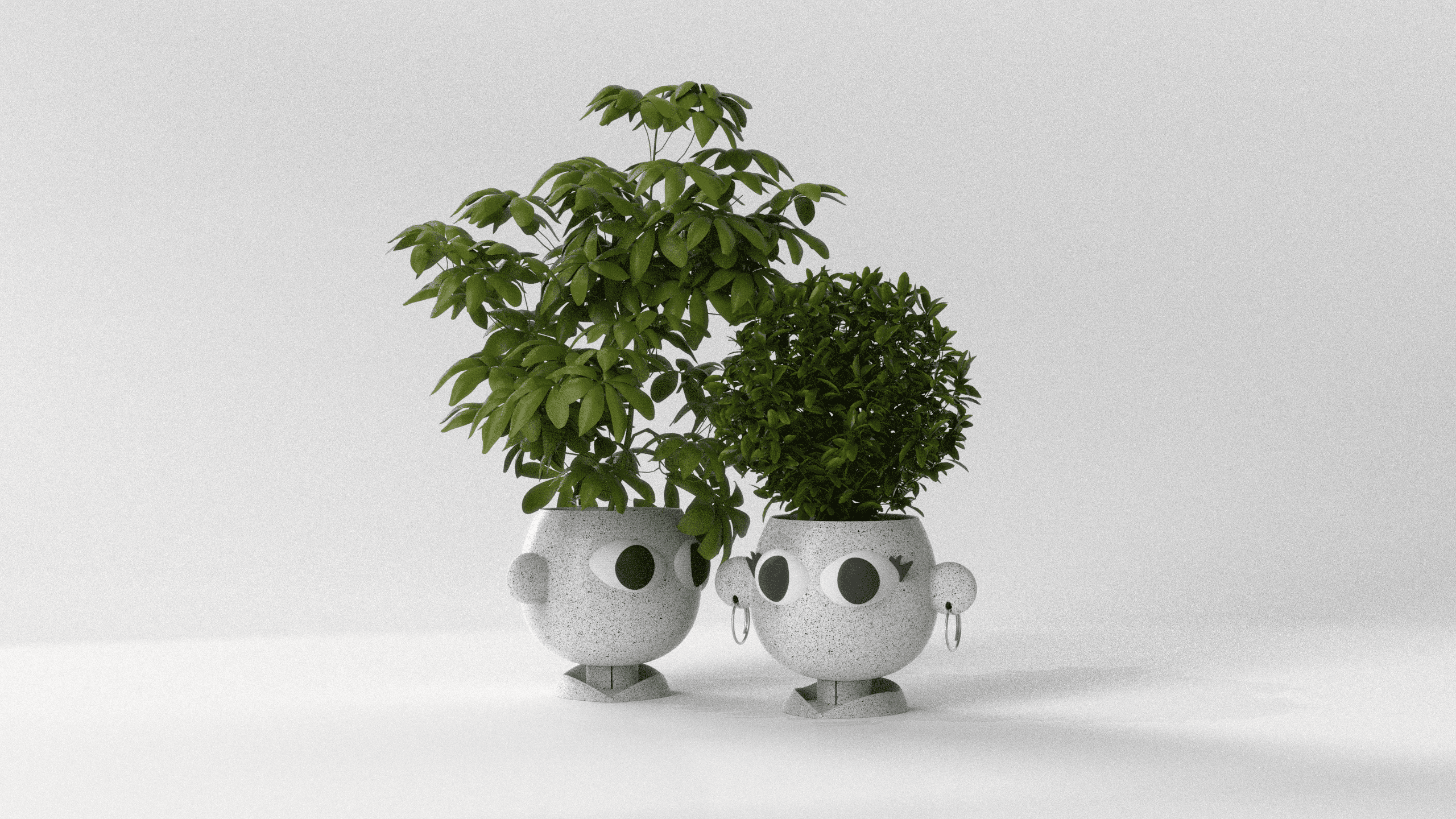 PLANTER - COUPLE POTS  3d model