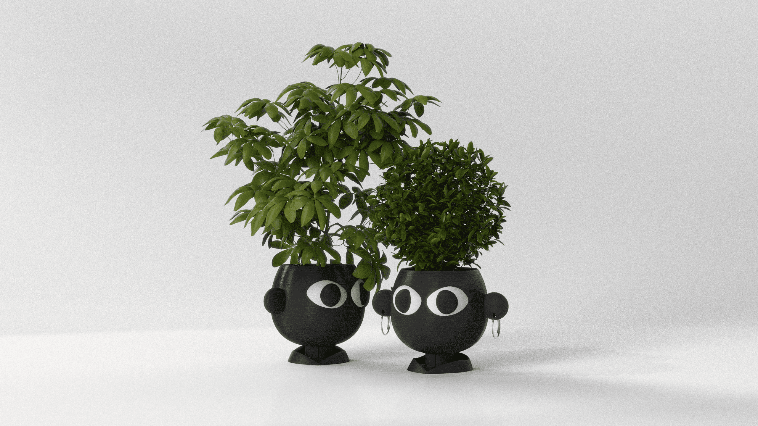 PLANTER - COUPLE POTS  3d model