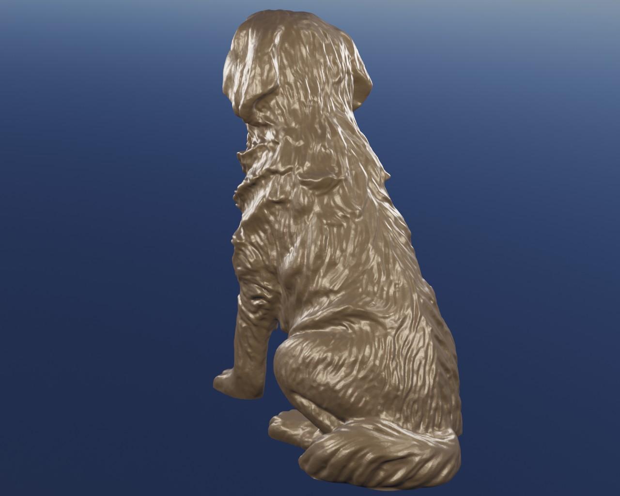 Saint Bernard 3d model