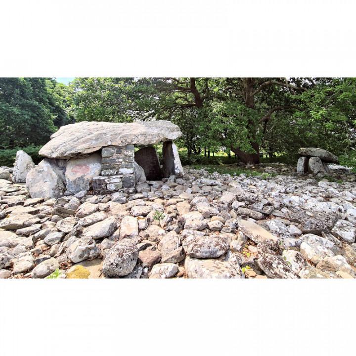 Dyffryn Ardudwy neolithic burial chambers 3d model