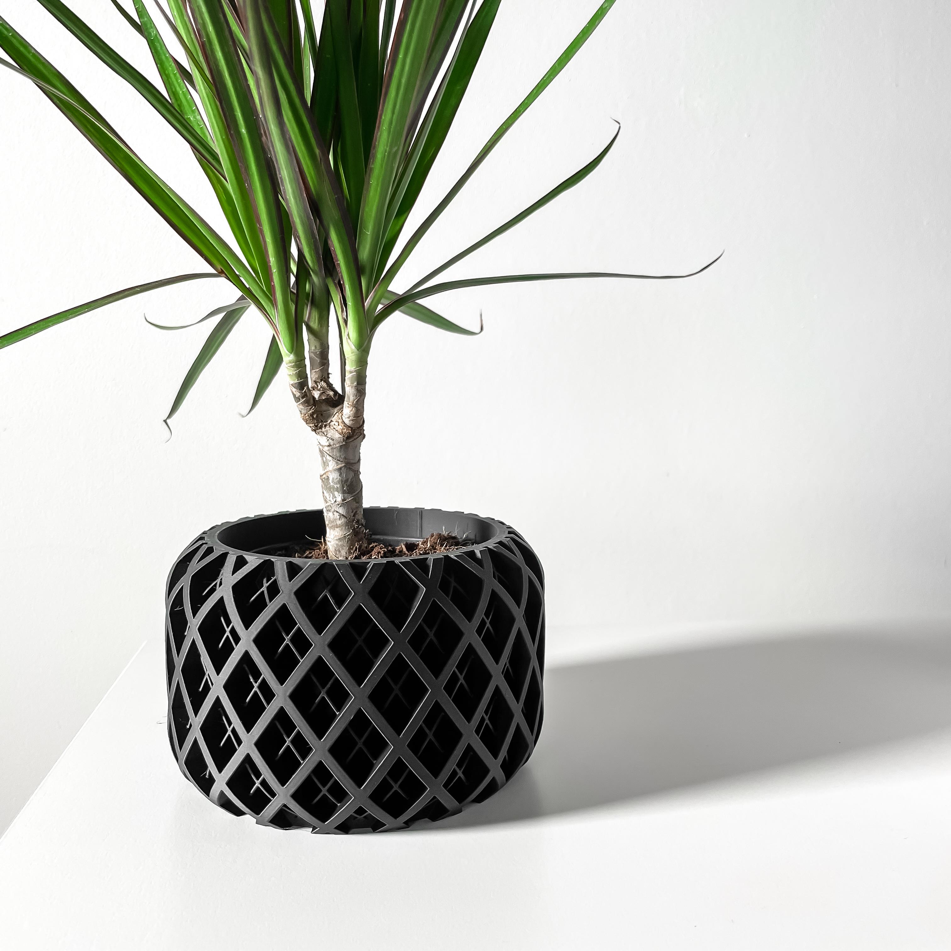 The Torio Planter Pot with Drainage Tray & Stand: Modern and Unique Home Decor for Plants 3d model