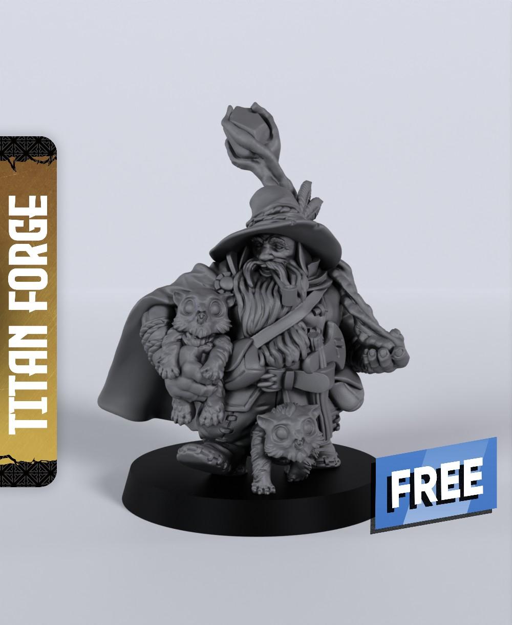 Dwarf Male Druid - With Free Dragon Warhammer - 5e DnD Inspired for RPG and Wargamers 3d model