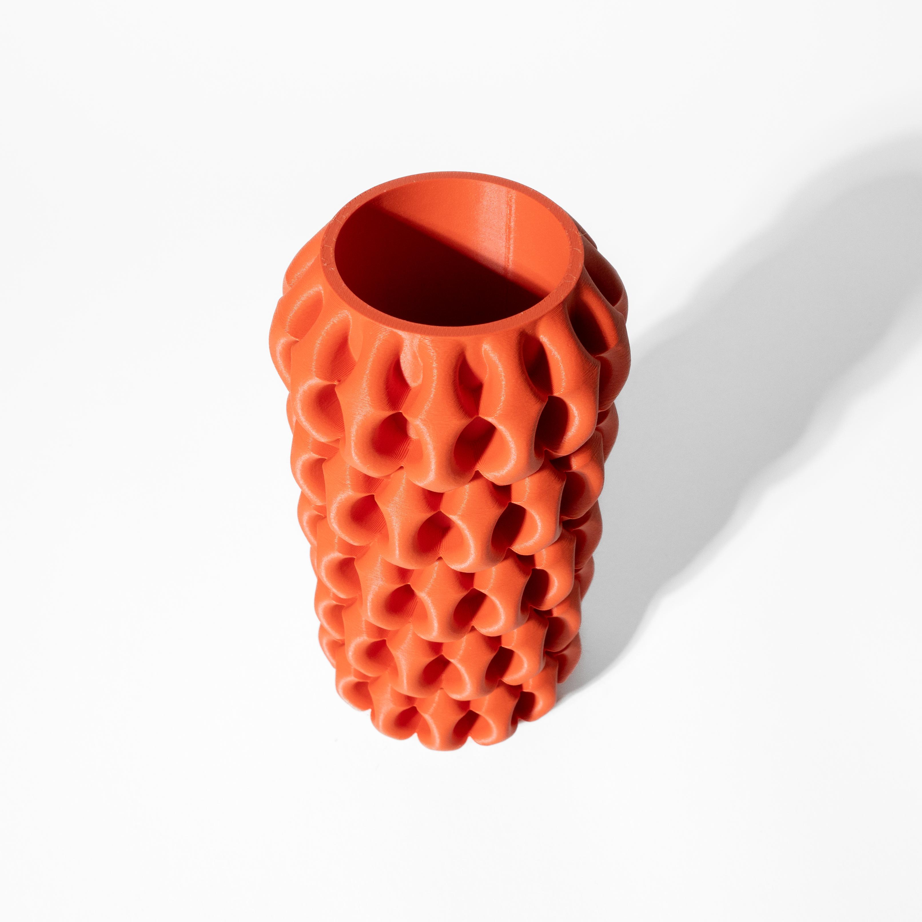 The Xiomu Vase, Modern and Unique Home Decor for Dried and Preserved Flower Arrangement  | STL File 3d model