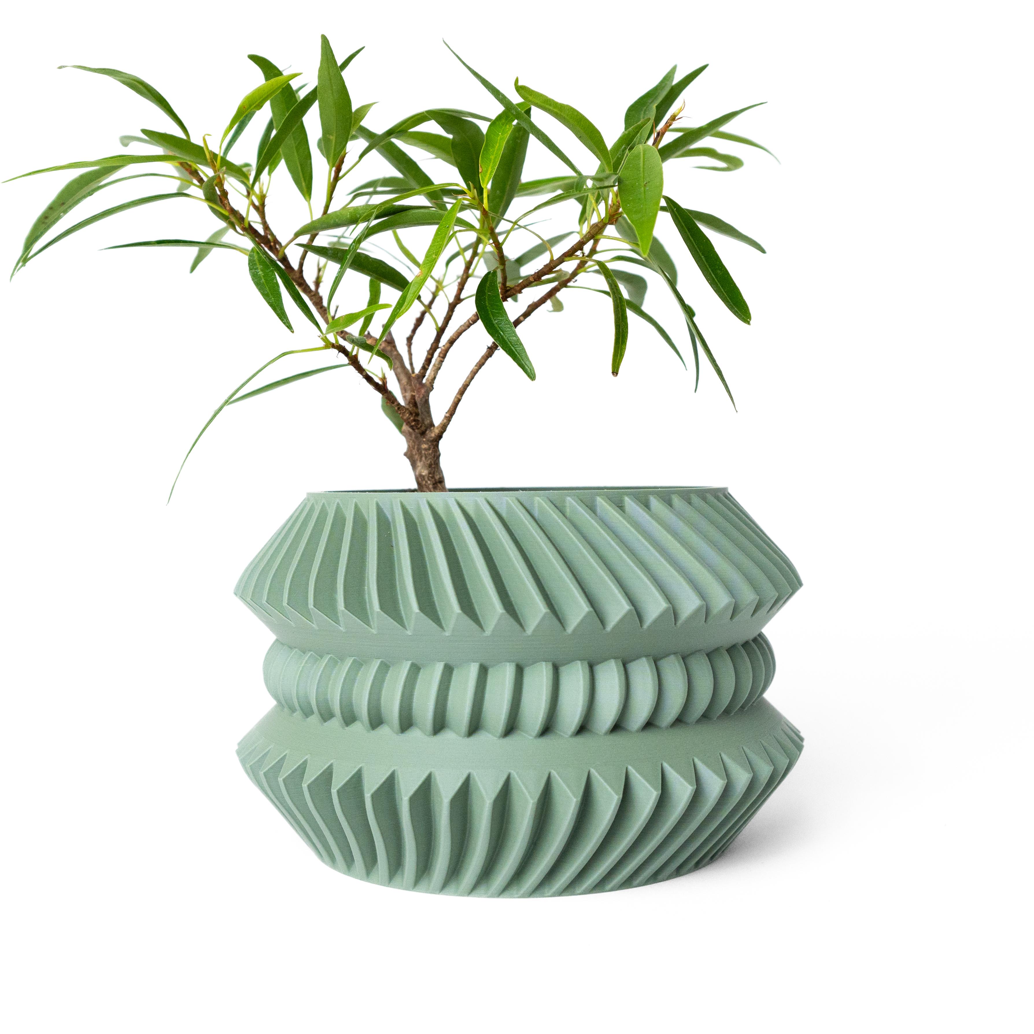 The Jako Planter Pot with Drainage Tray & Stand: Modern and Unique Home Decor for Plants 3d model