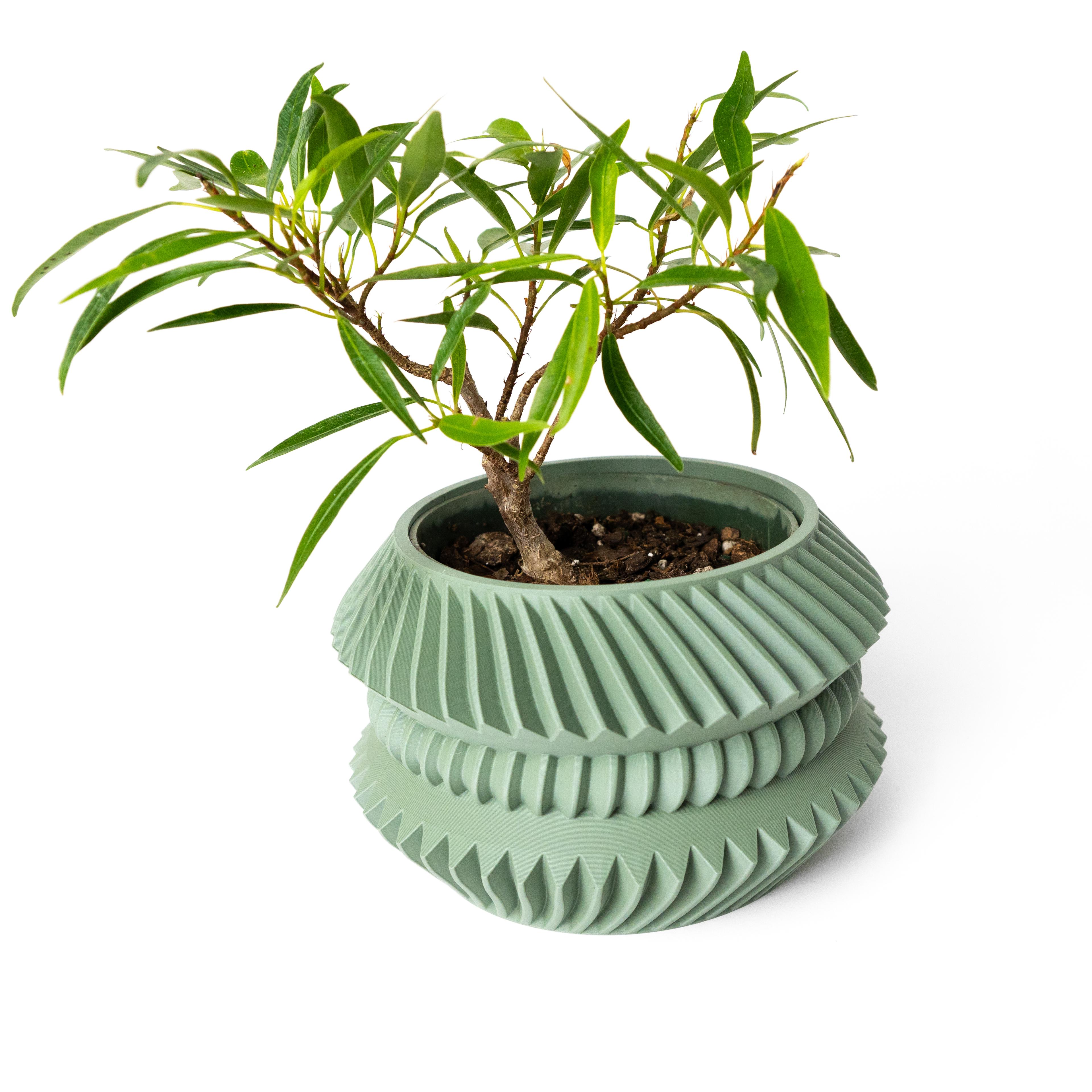 The Jako Planter Pot with Drainage Tray & Stand: Modern and Unique Home Decor for Plants 3d model