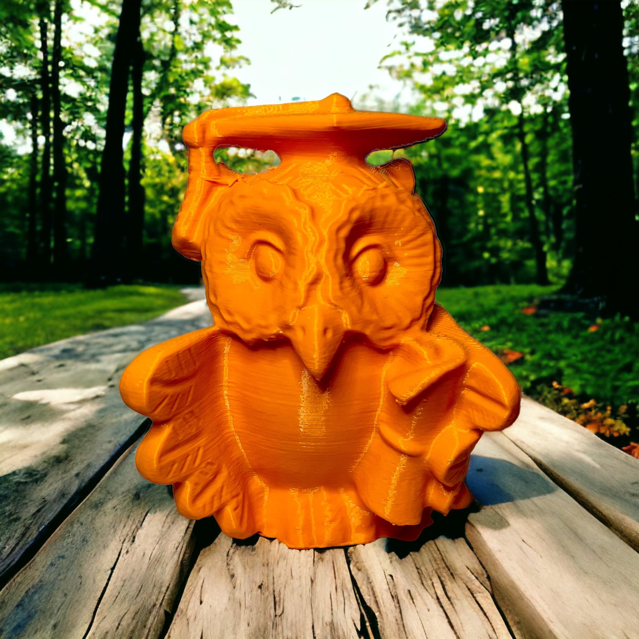 Owl diploma 3d model