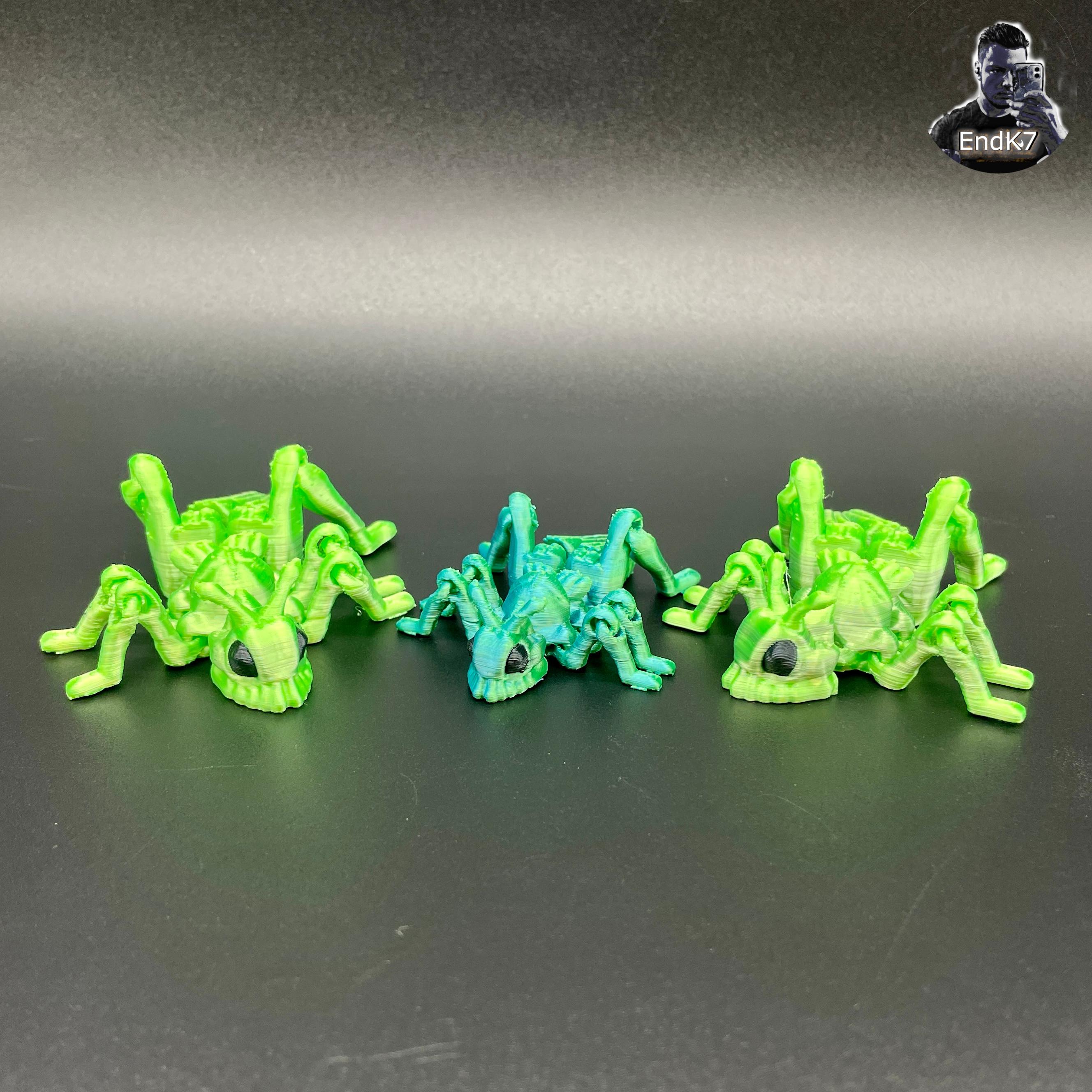 Tiny Grasshopper - Articulated - No Supports - Print in Place - Flexi  3d model
