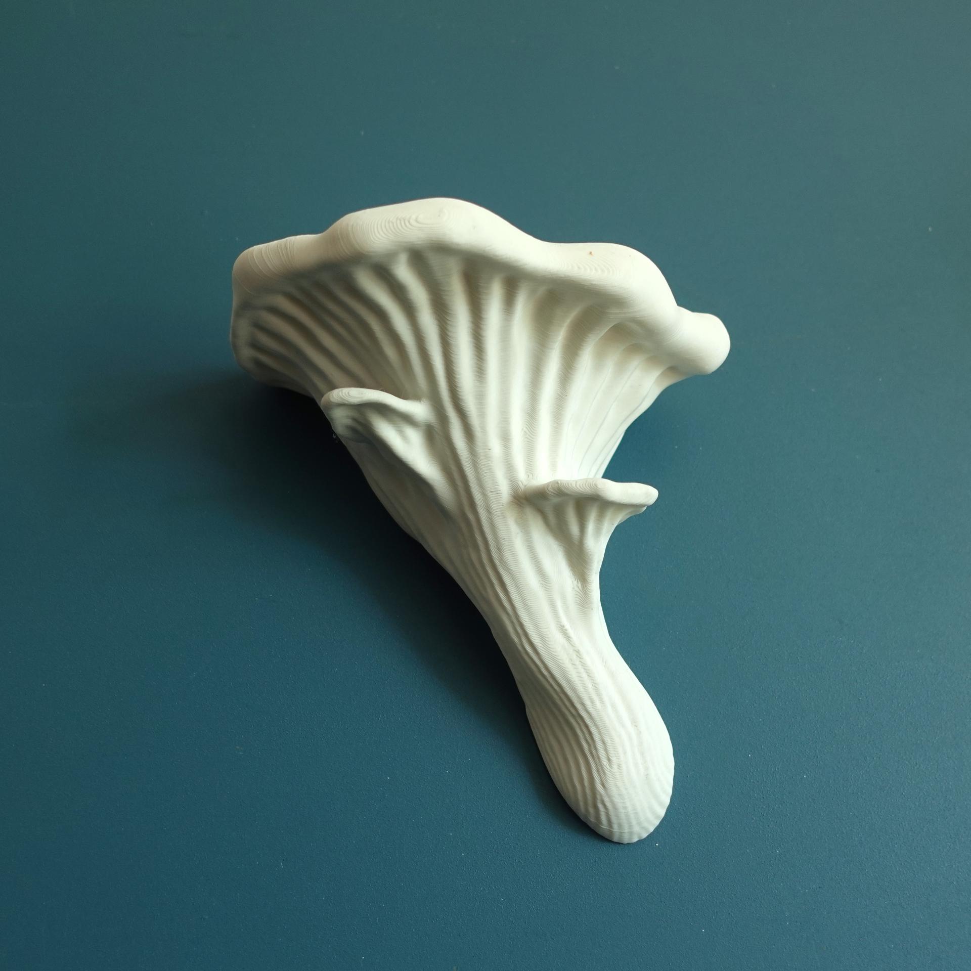 Wall shelf “Oyster fungus” 3d model