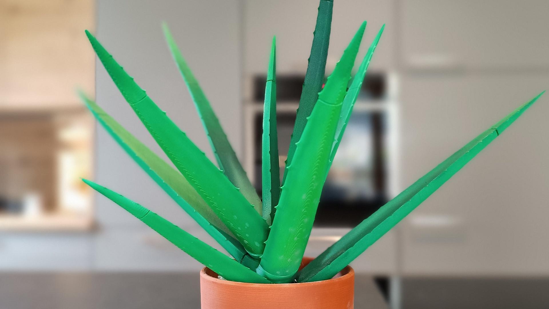 Aloe Vera Pen Plant - Aloe Vera - 3d model