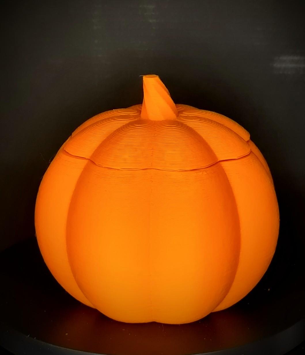 Hidden Carving Pumpkin - Cobwebs 3d model