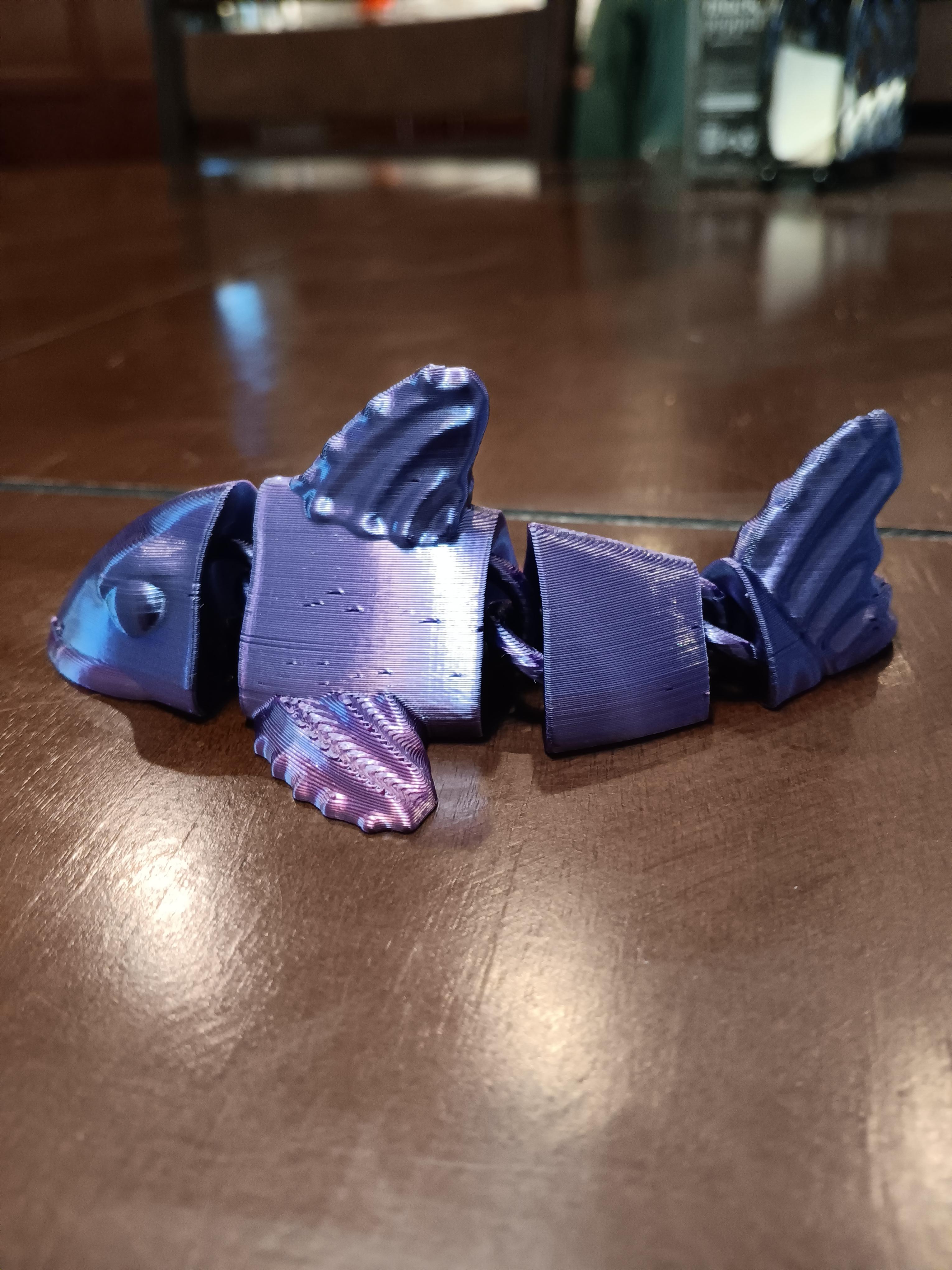 Flexi angry Koi fish - print in place - fidget toy 3d model