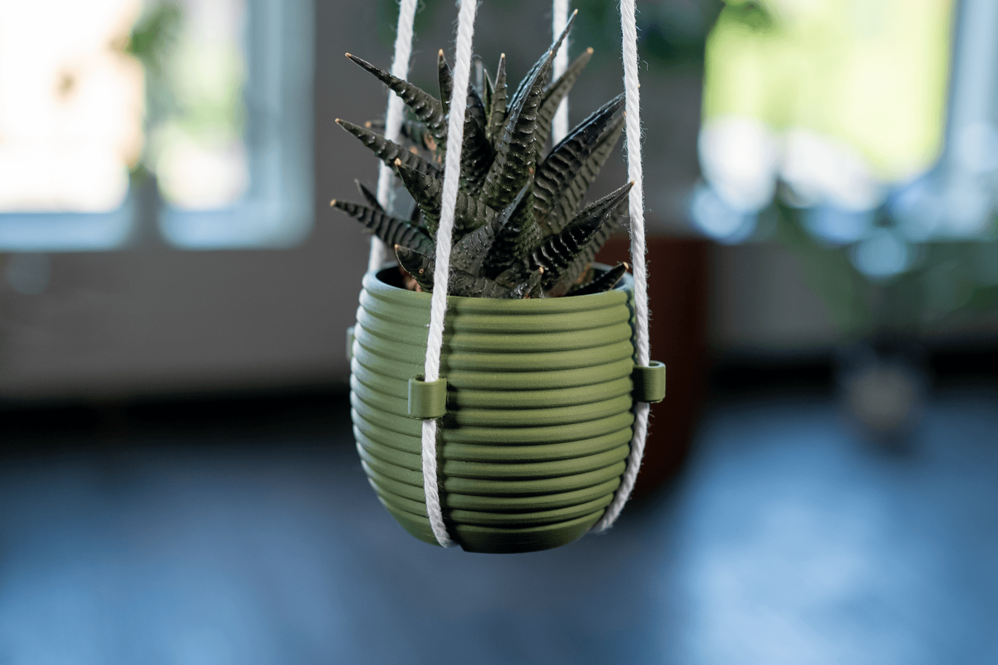 Hanging Planter - The Hive 3d model