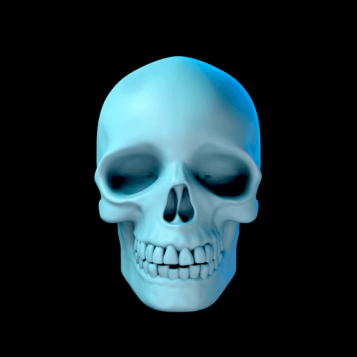 Basic Skull 3d model