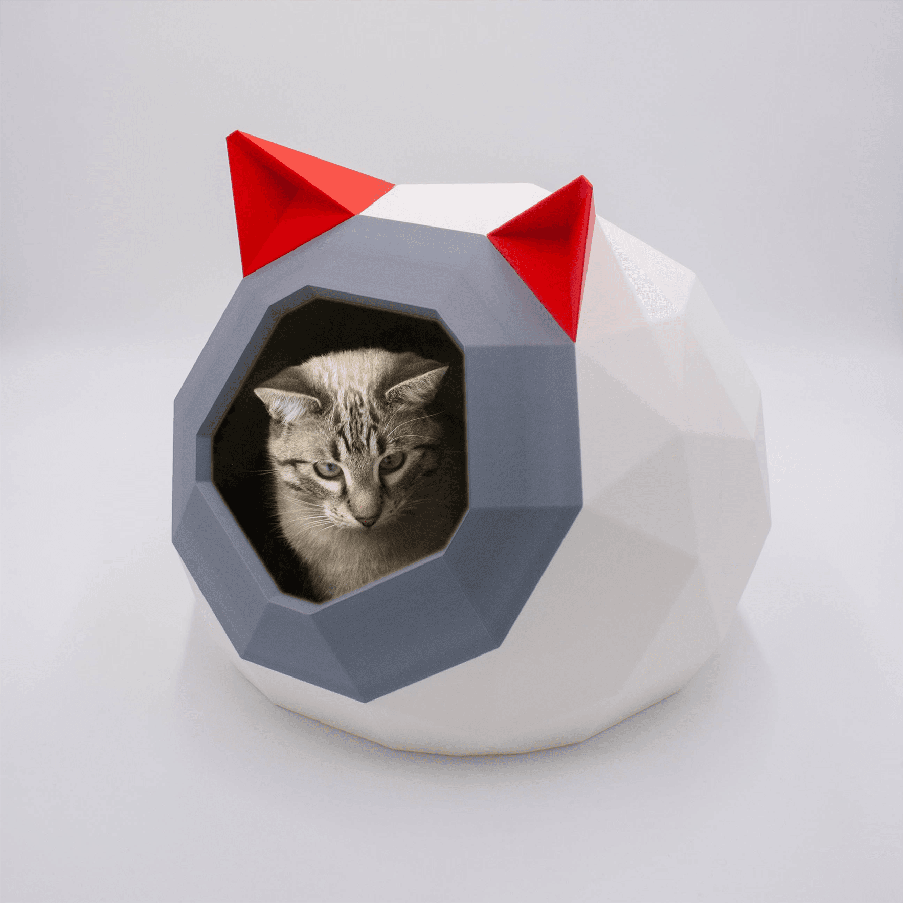 HOUSE FOR CAT TAO LOW POLY V2 - Follow us: https://linktr.ee/catalpine 3d model