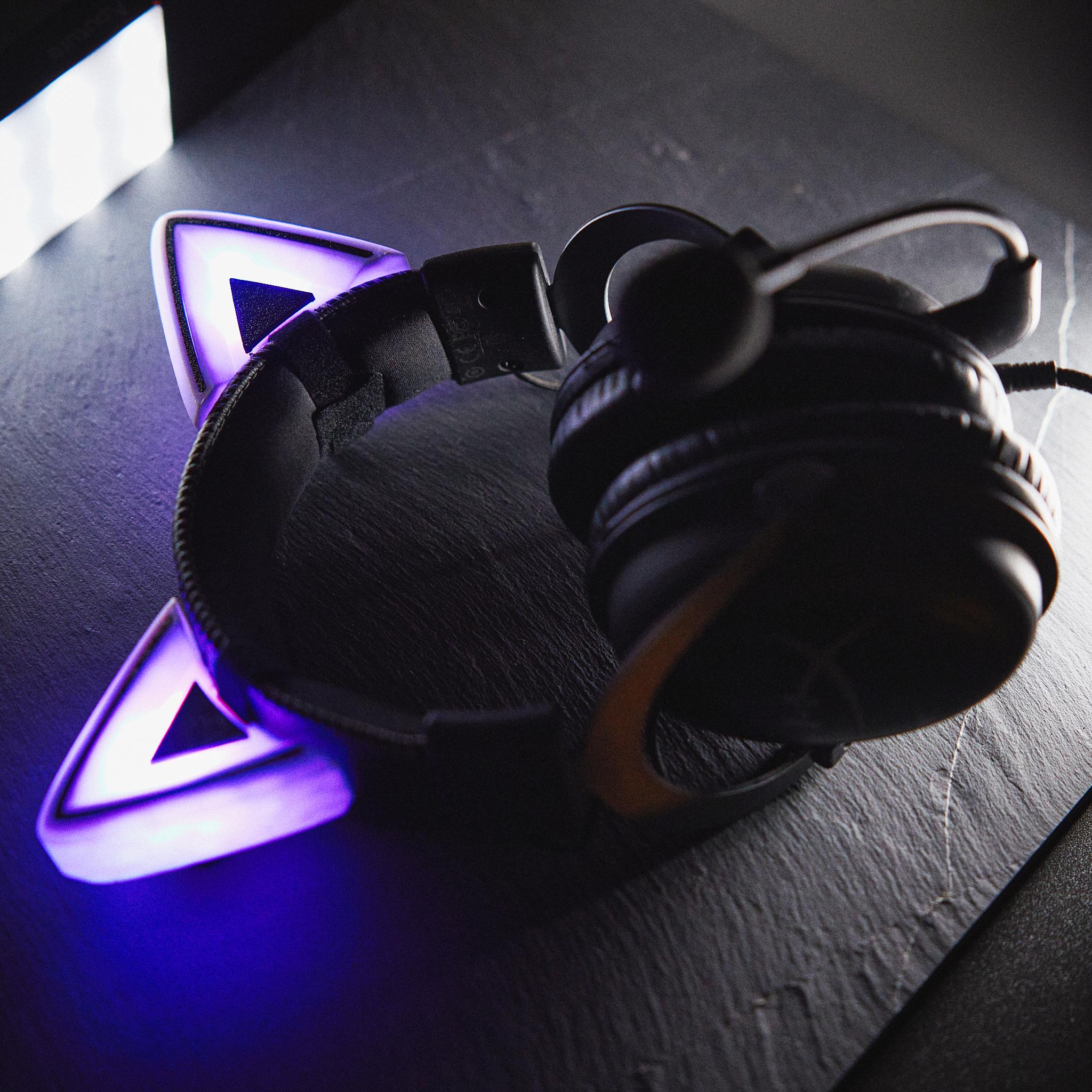 RGB Light Cat Ears for Headphones 3d model