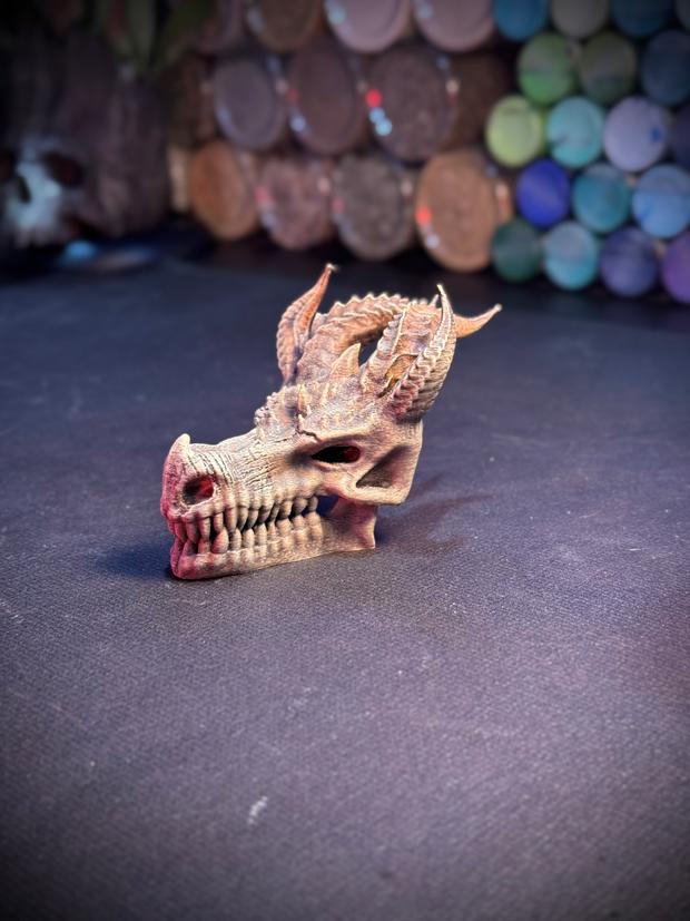 Dragon's skull 3d model