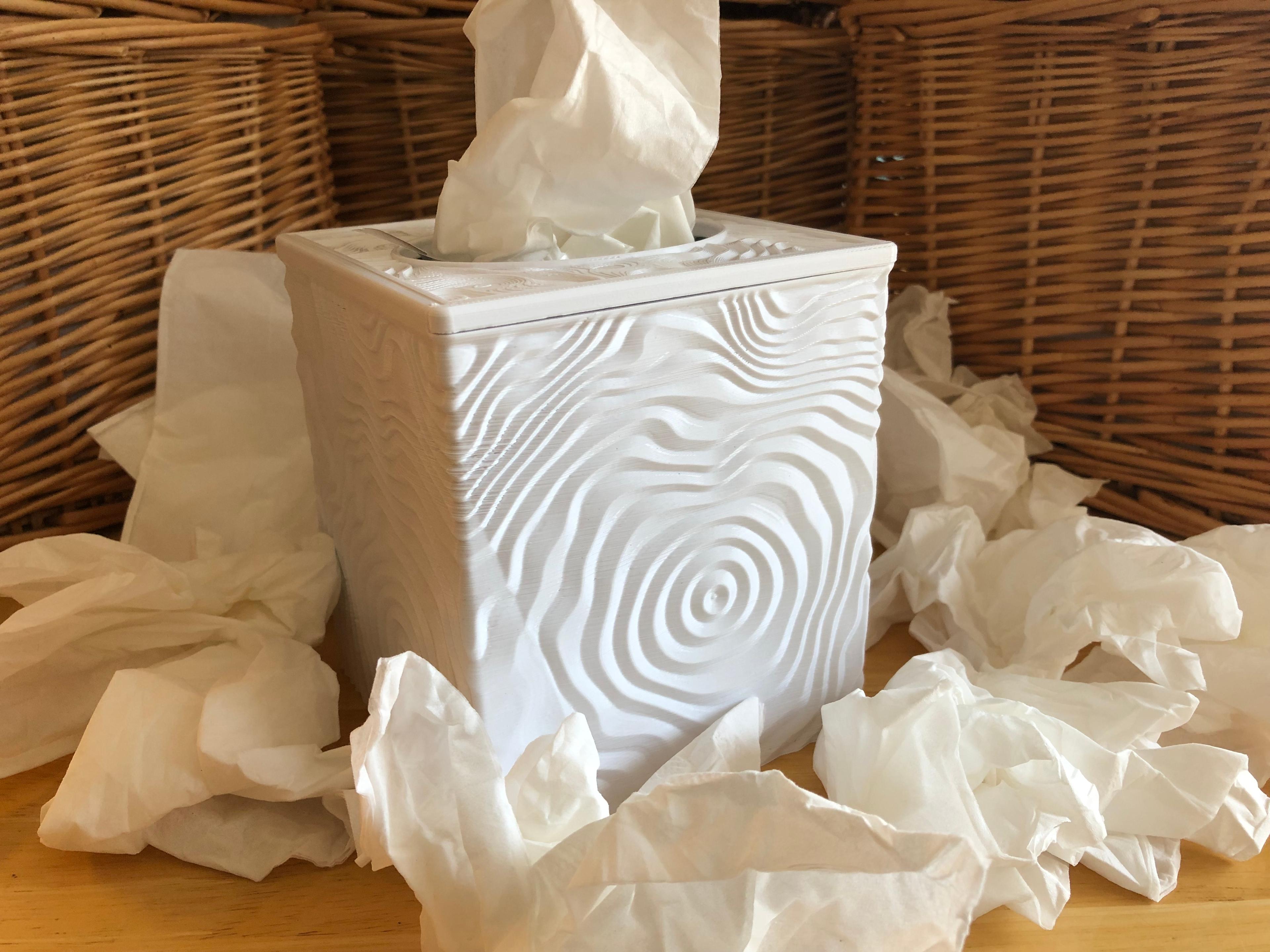 Ripple Tissue Boxes 3d model