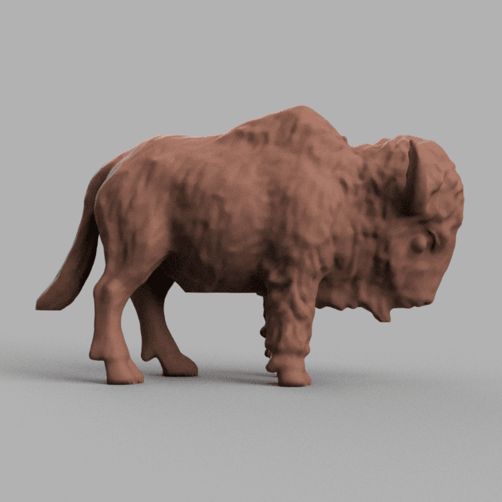 Bison 3d model