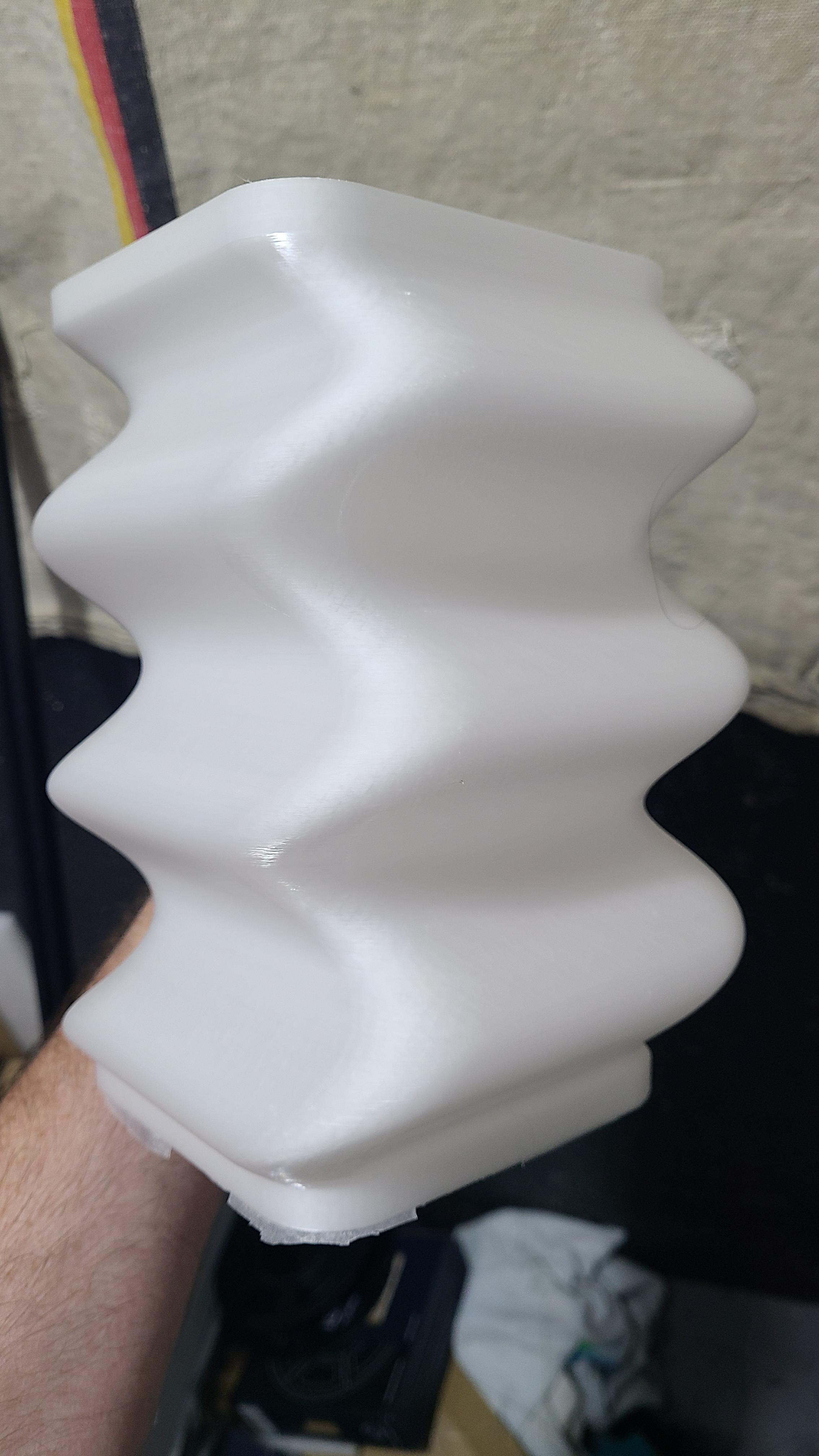 Fluid Vase with a Secret.  3d model