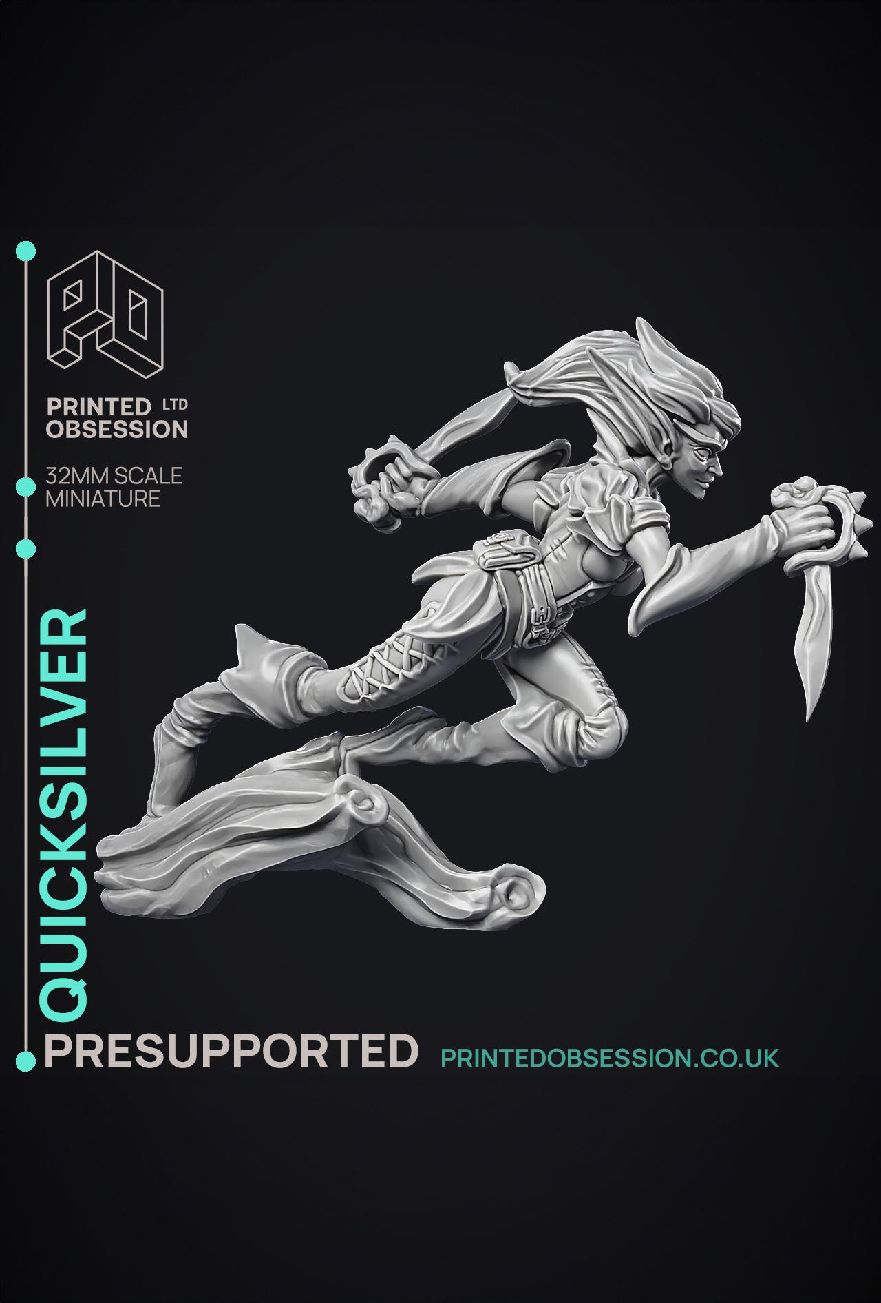Quicksliver - Fey Fighter - PRESUPPORTED - 32mm Scale  3d model