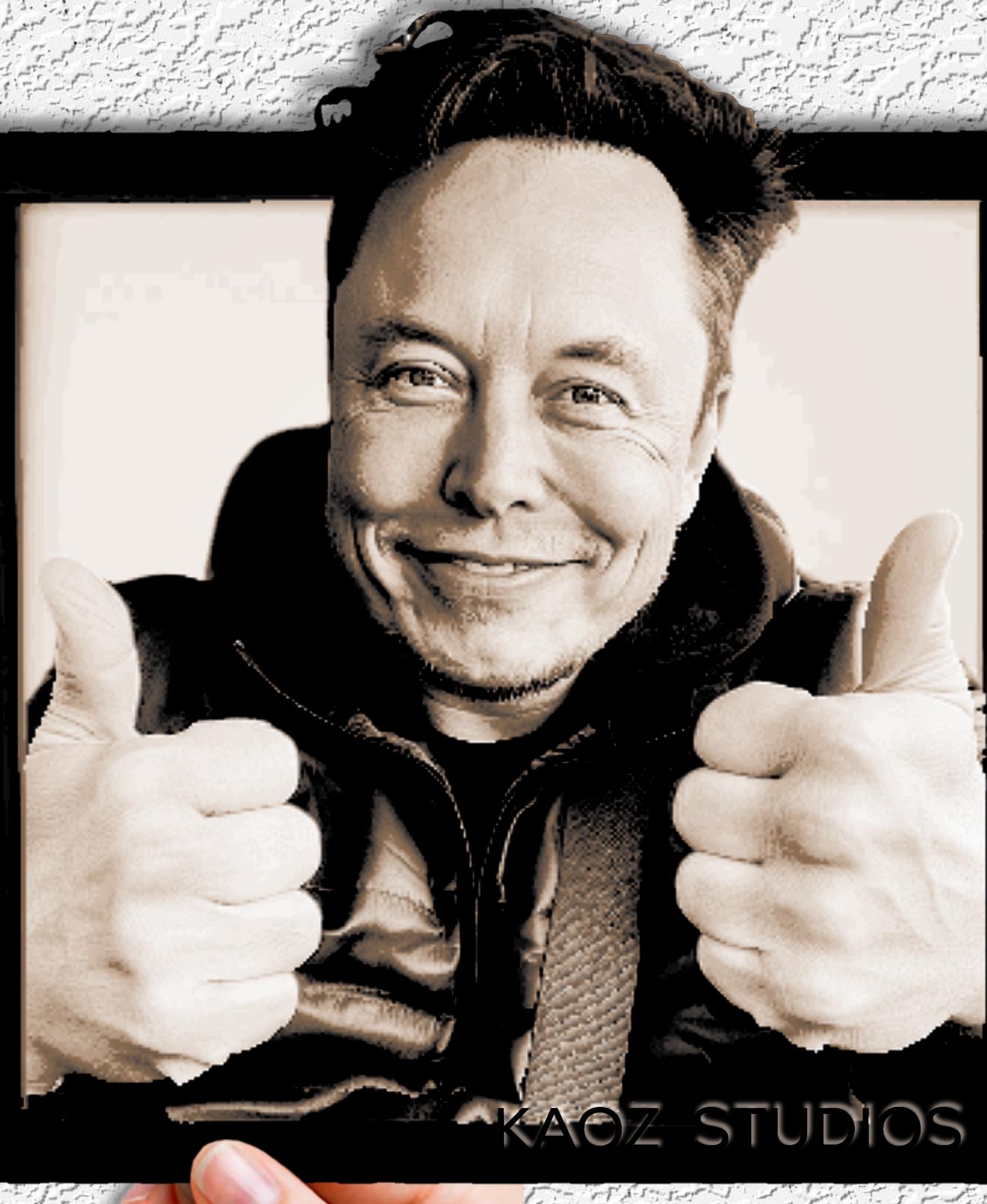 The Amazing Elon Musk in Hue Forge Art 3d model