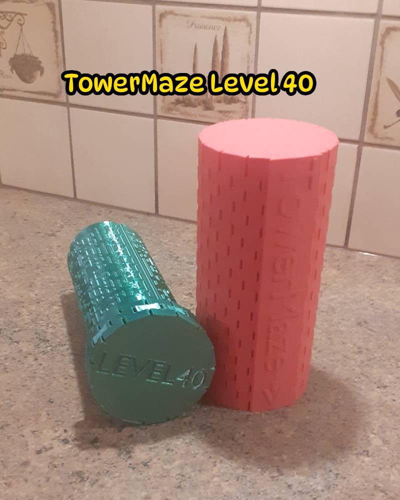 TowerMaze Level 40 3d model