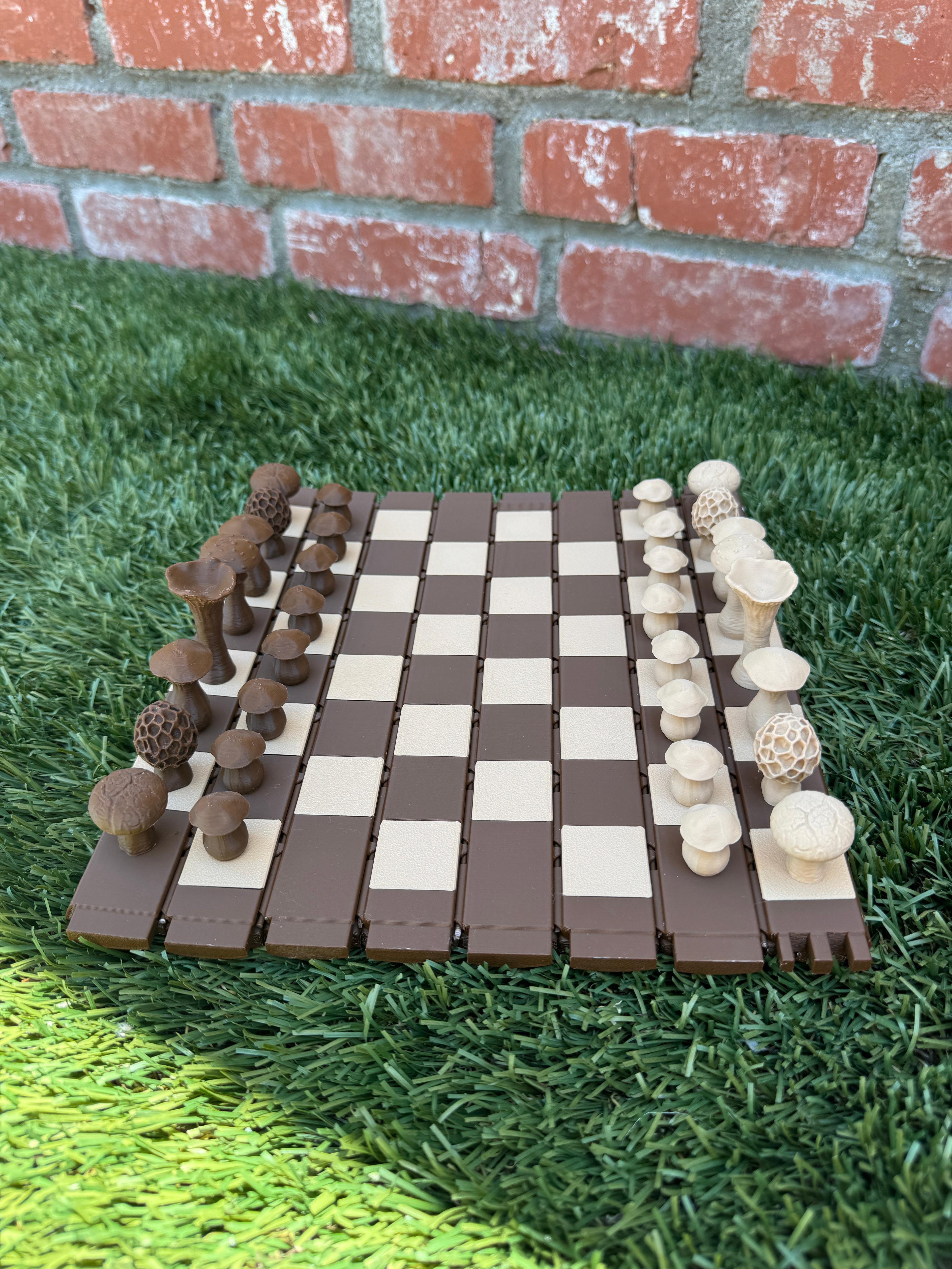 Forest Chess Set - Log and Mushroom Chess Board - Acorn Checkers 3d model