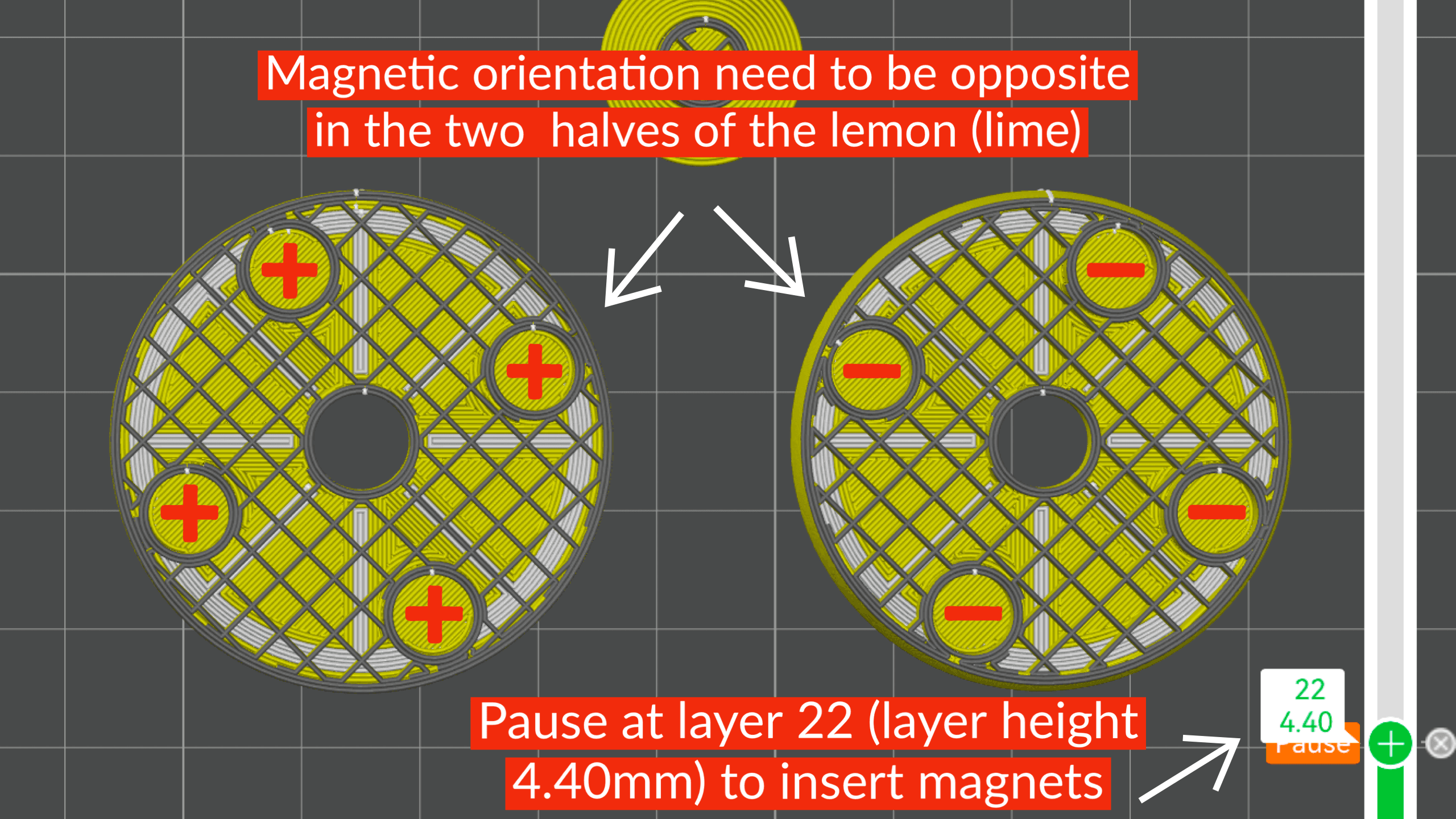 Clicky Citrus Spinners (2-in-1 Fidget Toys) 3d model