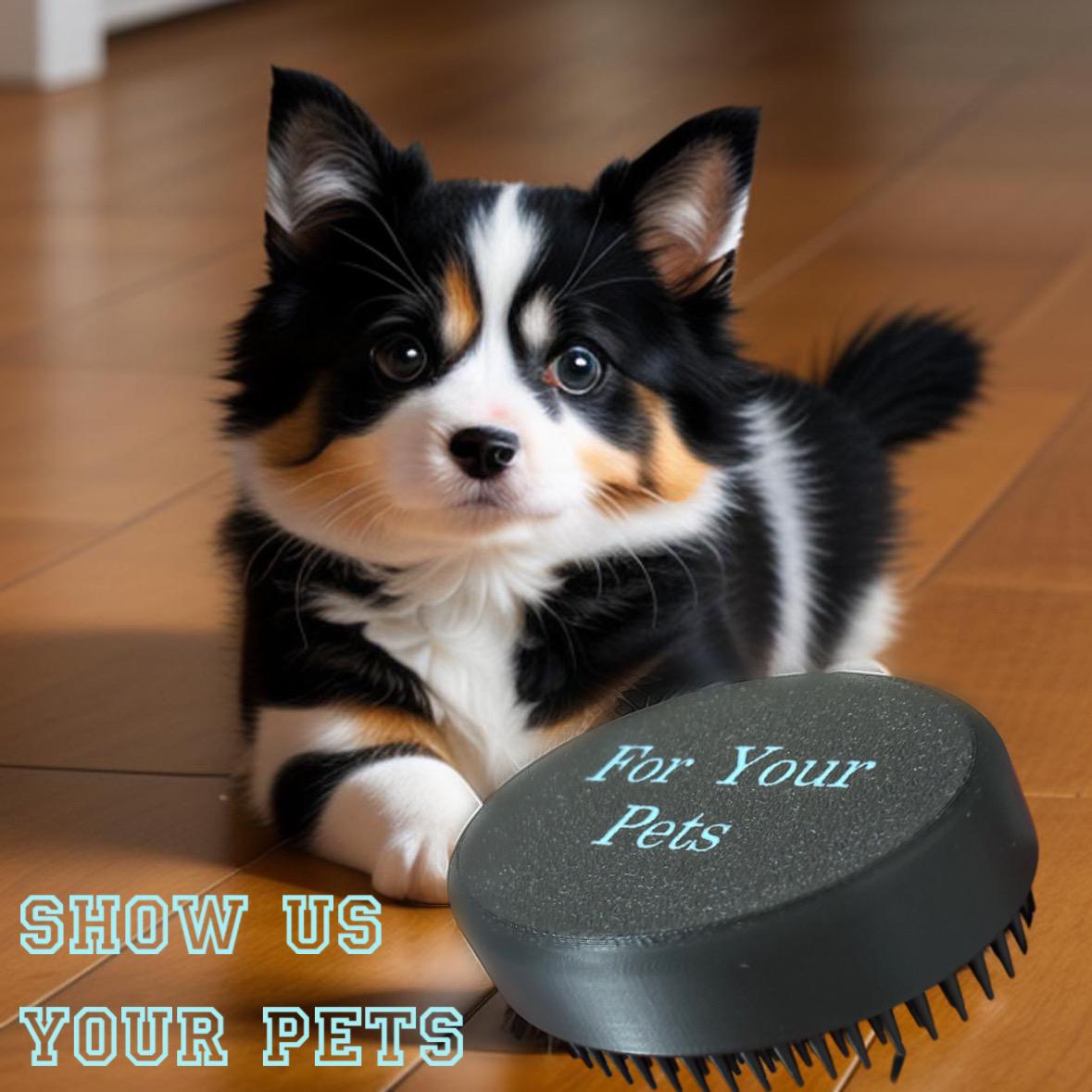 for your pet  3d model