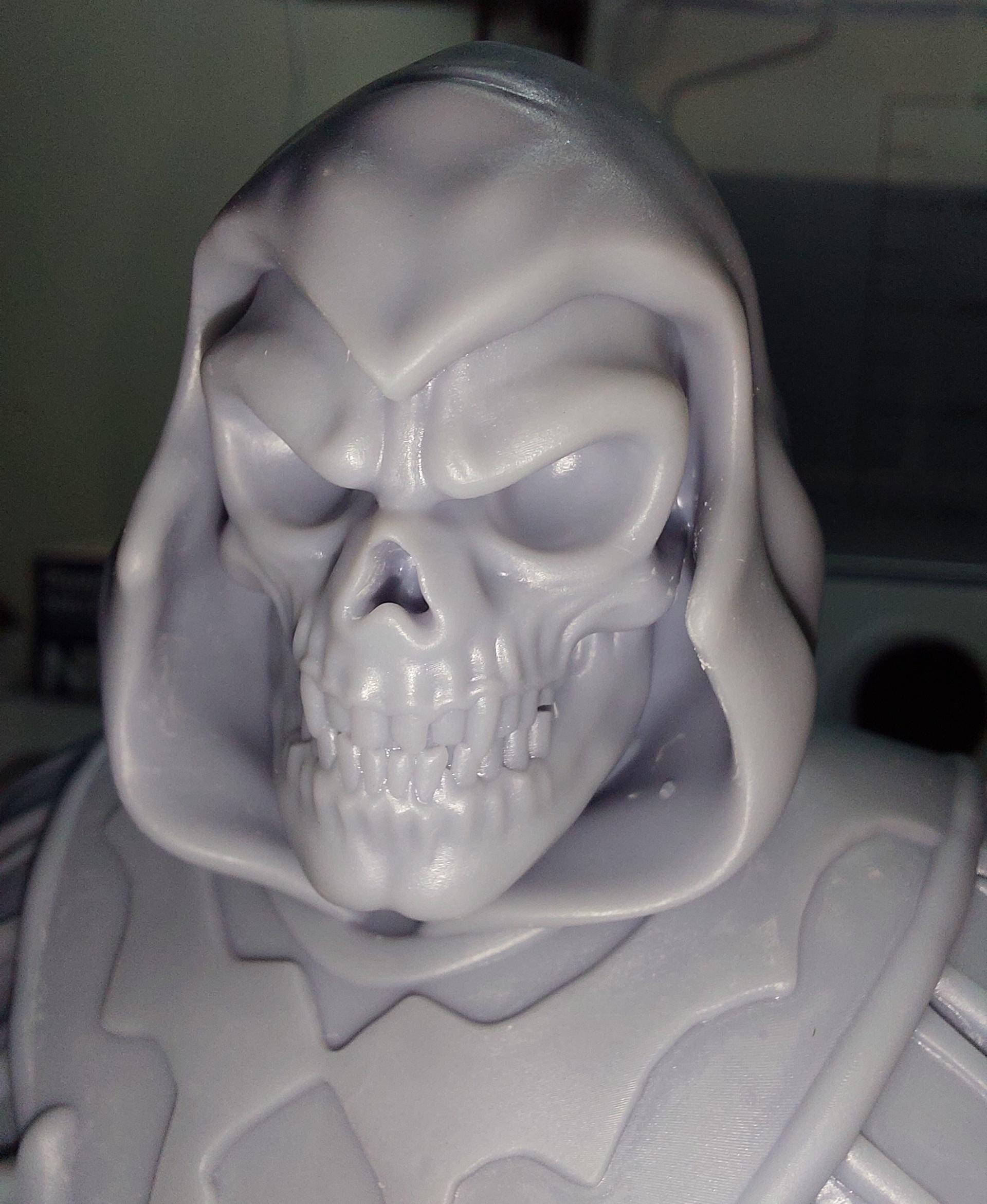 Skeletor Bust High Def Pre Supported Lychee Pro by BeardsNwildlife, Download free STL model