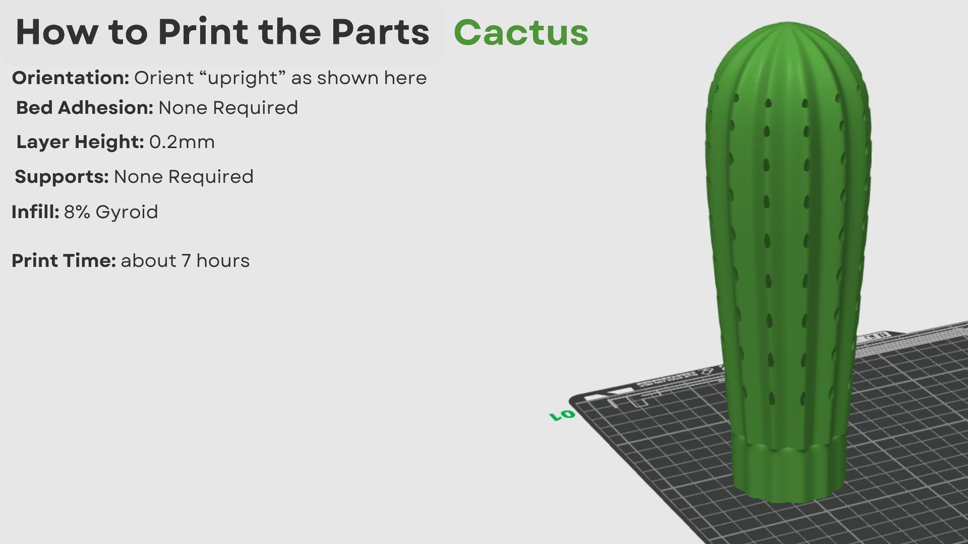 Cactus Toothpick holder 3d model