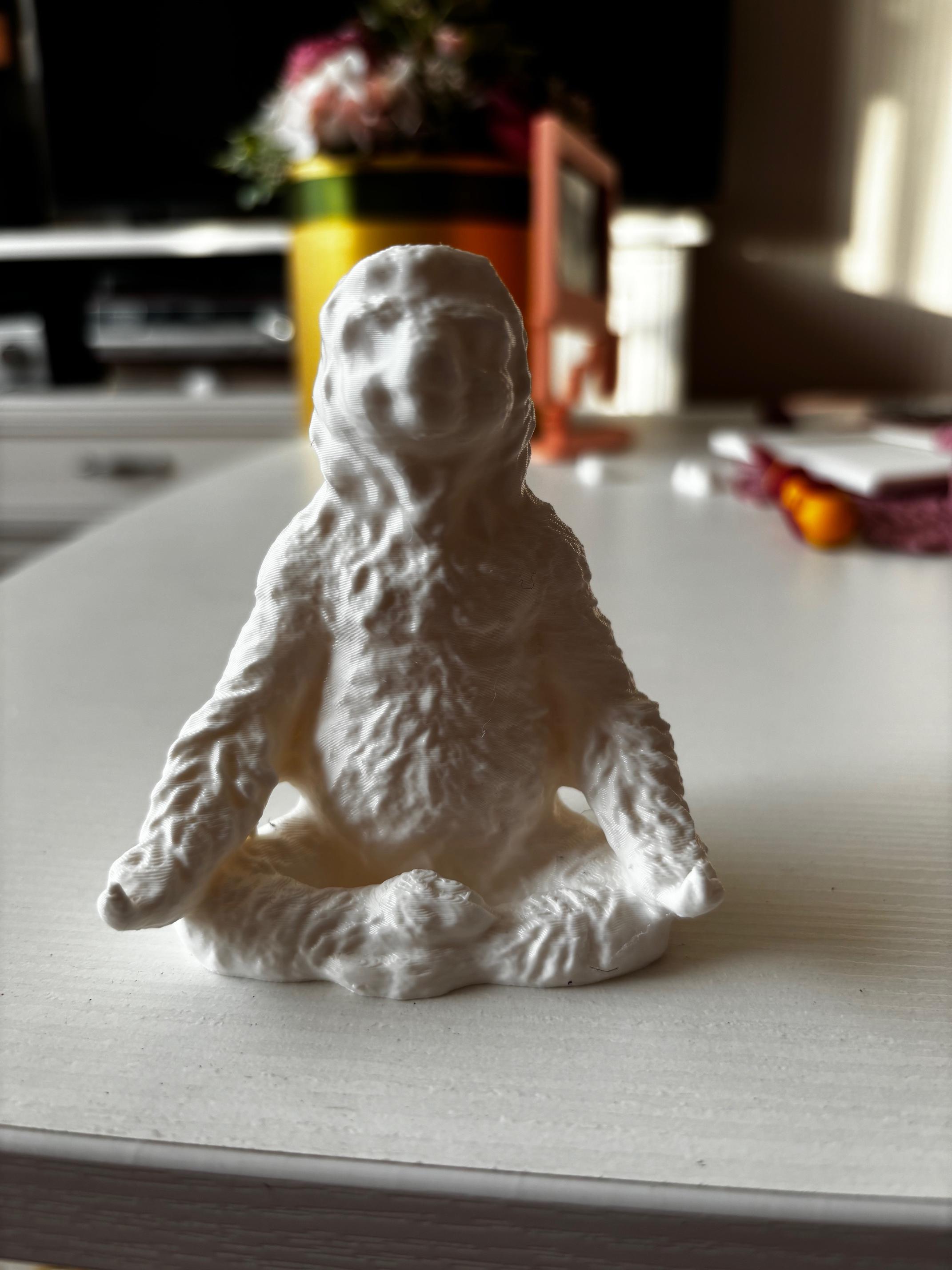 Cute sloth meditation 3d model