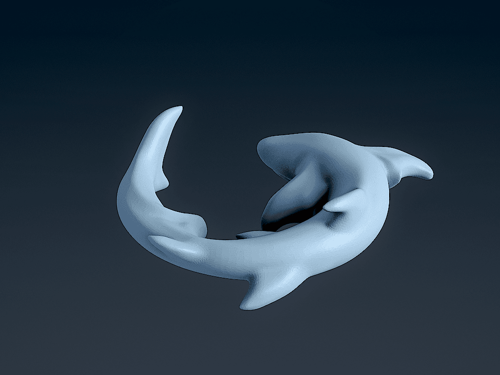 Shark 2 3d model