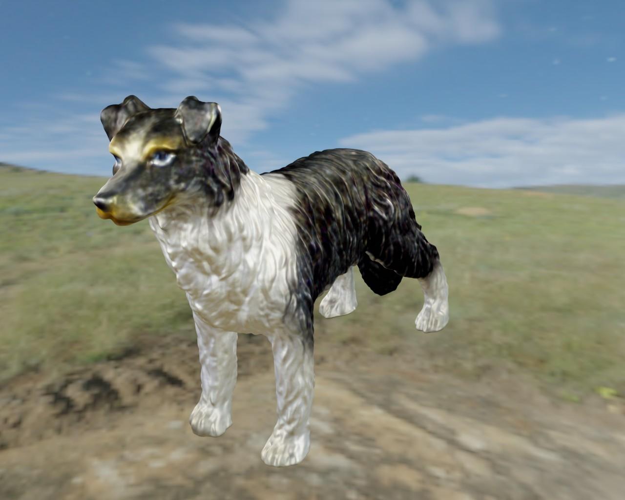 Border Collie 3d model