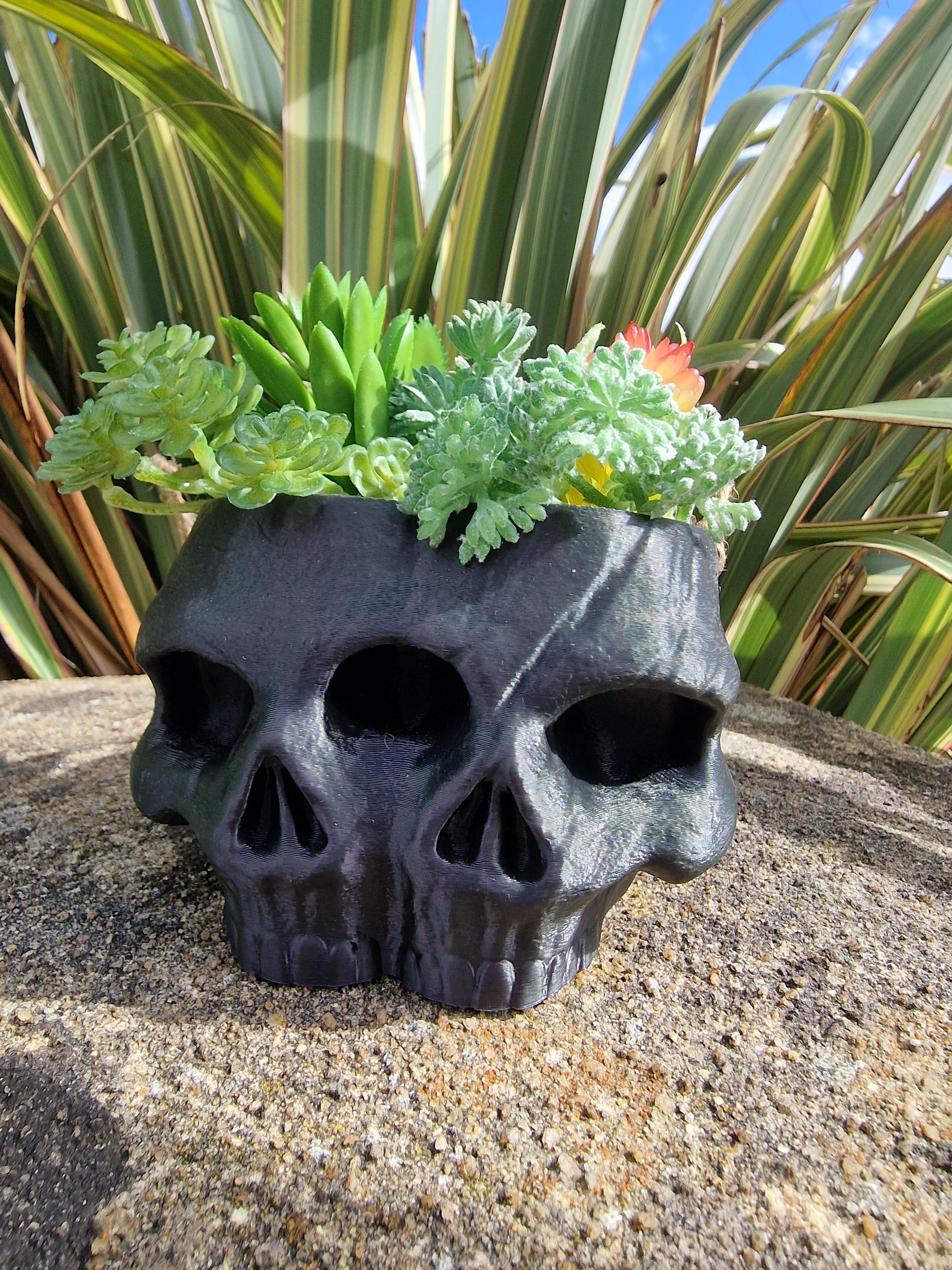 Twin Skull Planter and Pot 3d model