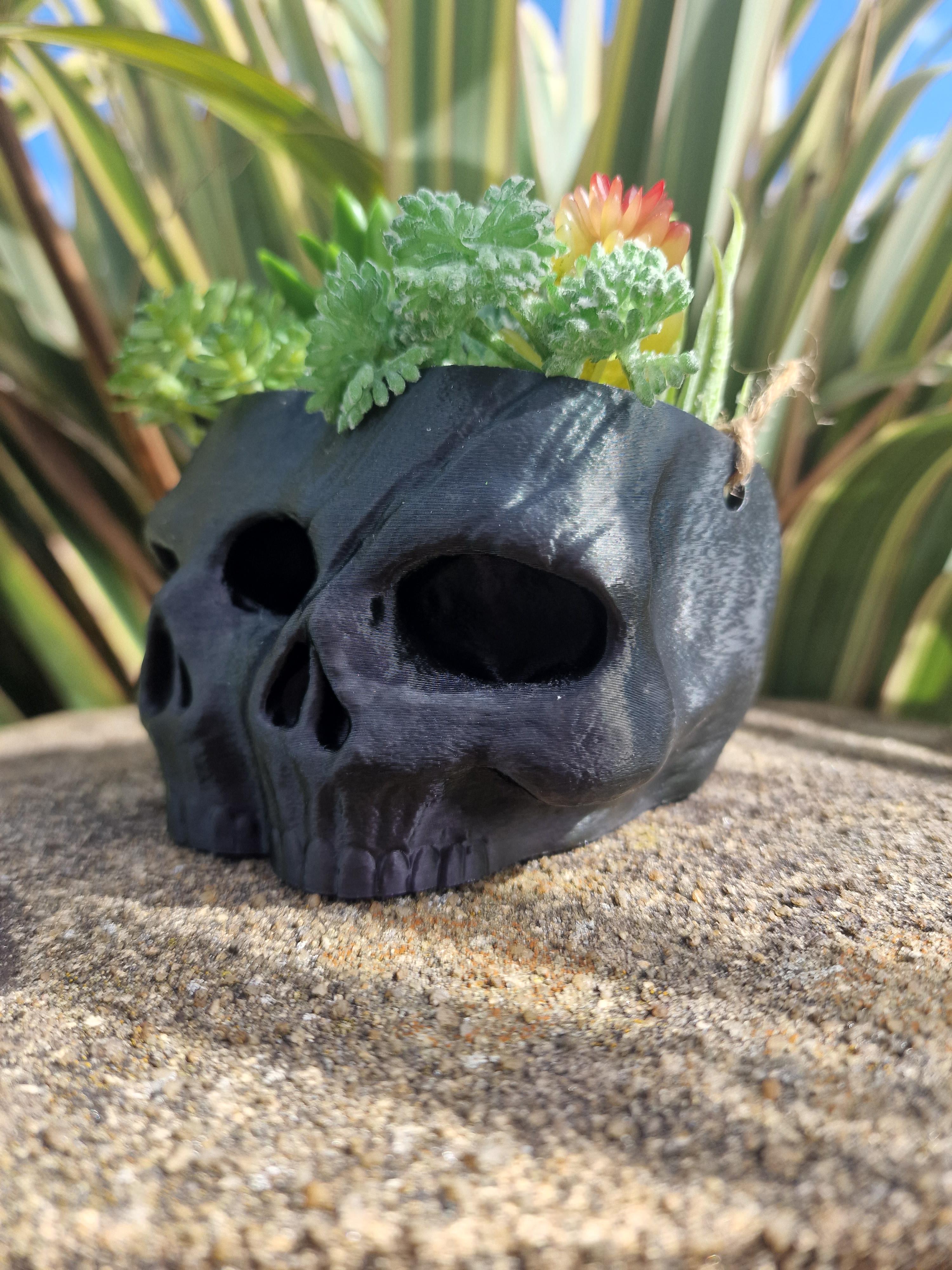 Twin Skull Planter and Pot 3d model