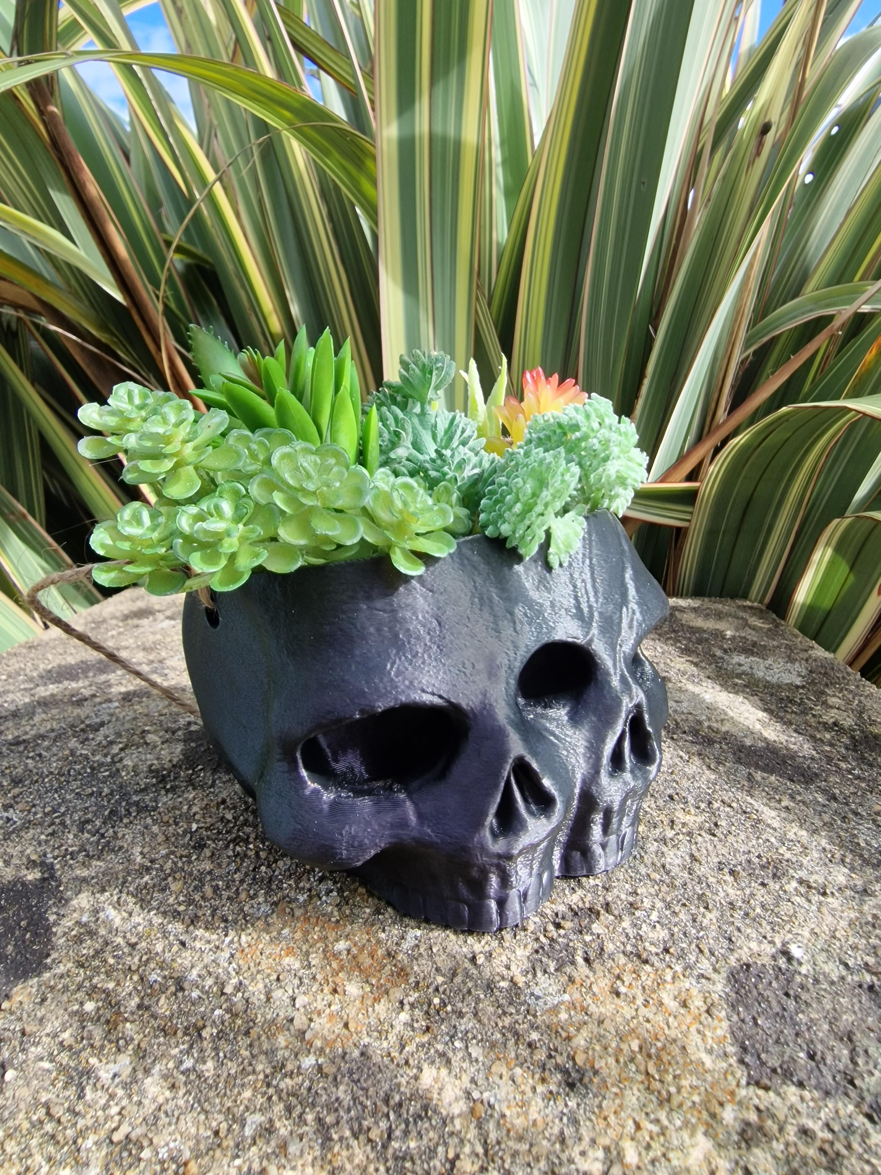 Twin Skull Planter and Pot 3d model