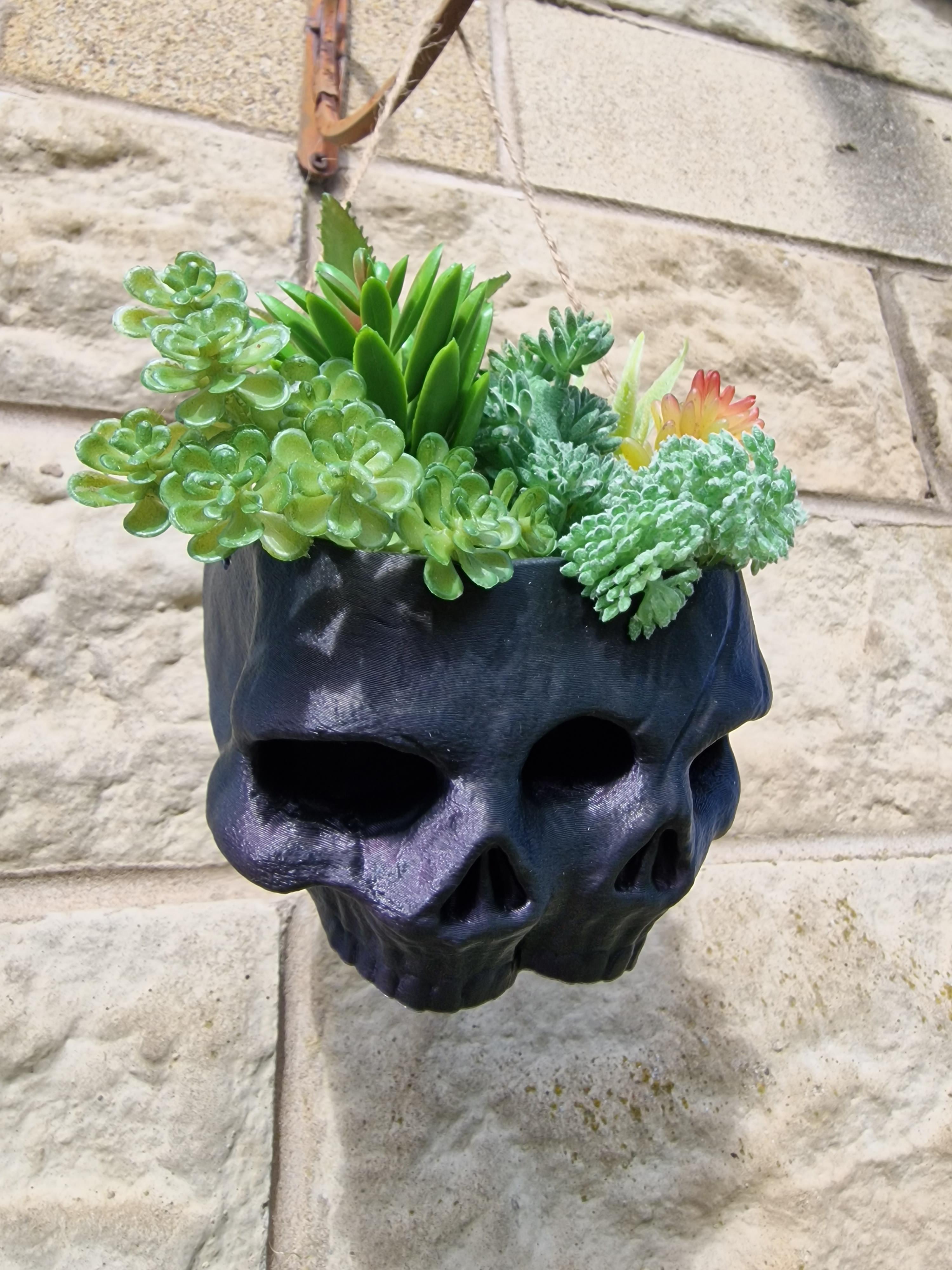 Twin Skull Planter and Pot 3d model