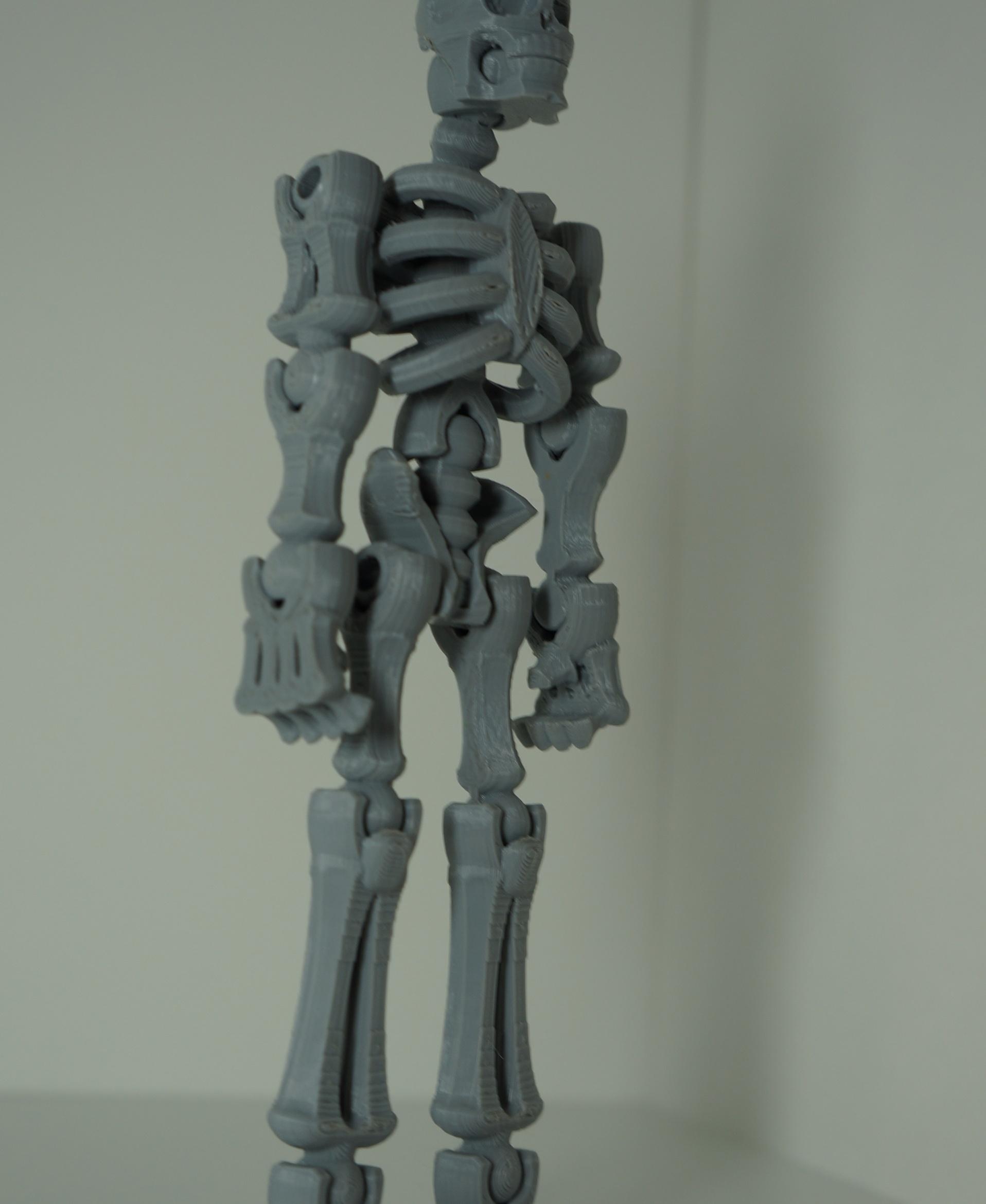 Toy skeleton 3d model