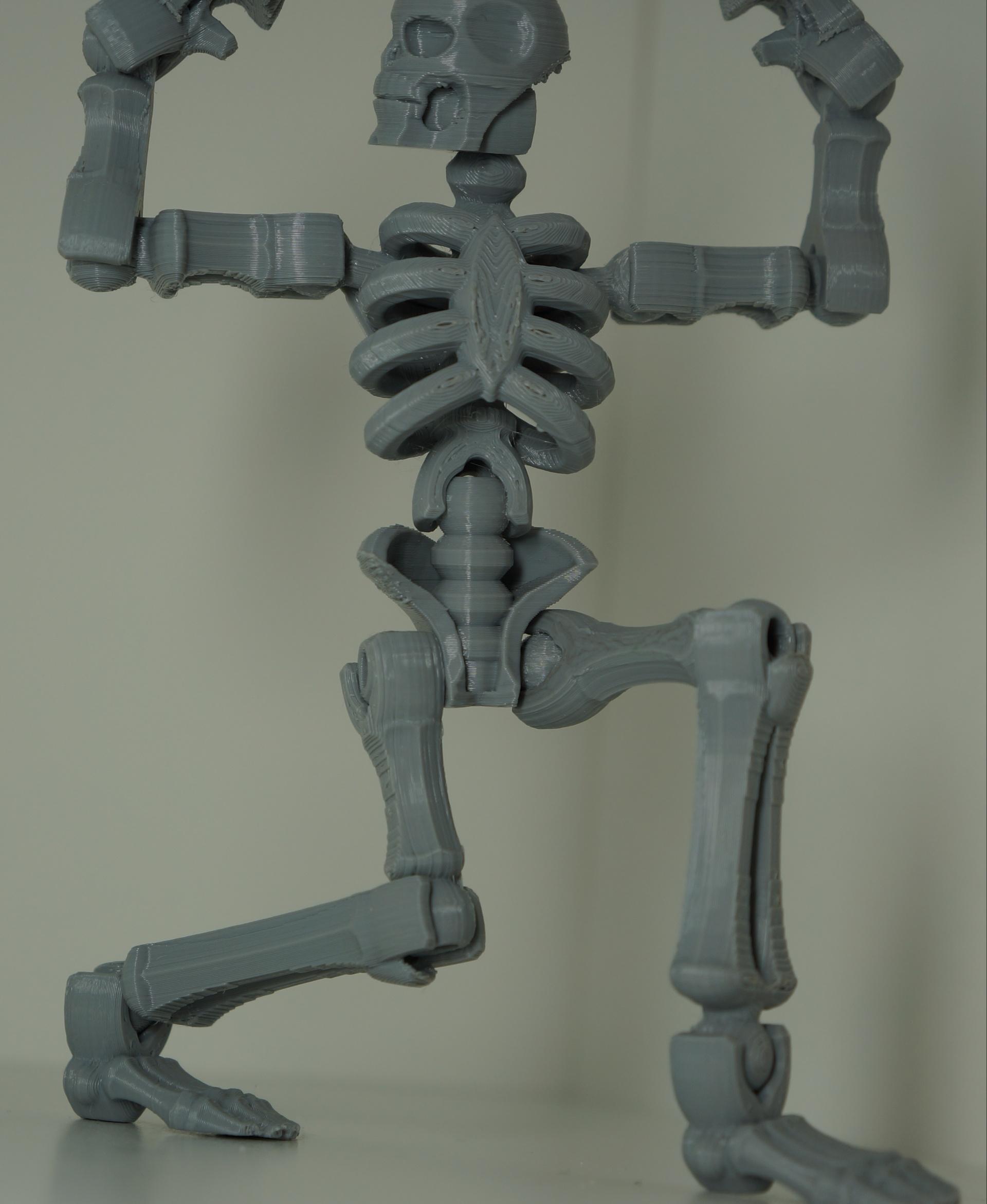 Toy skeleton 3d model