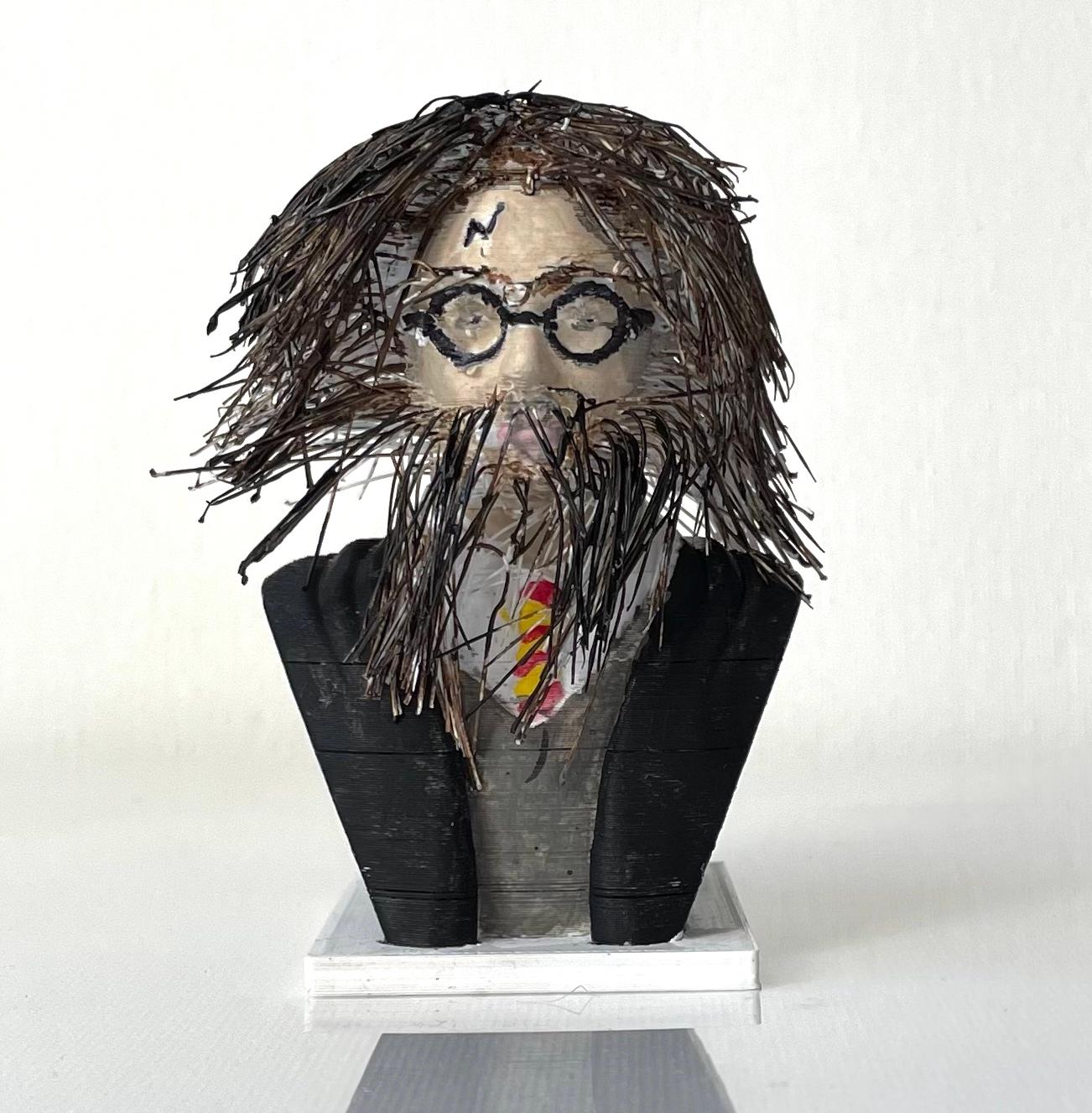 Hairy Potter - Hairify - Hairy Potter - 3d model