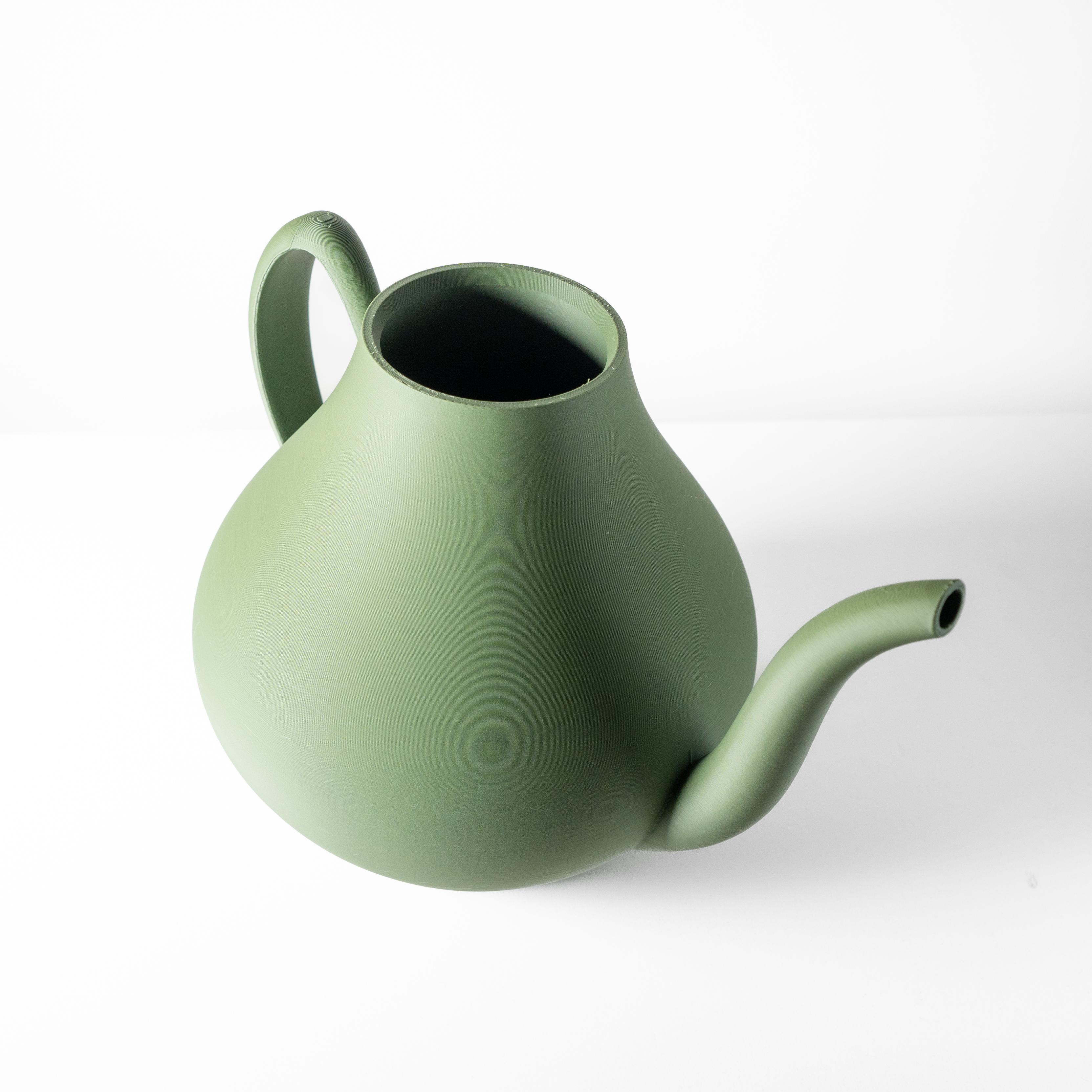 The Nari Watering Can for Houseplants, Flowers, and Succulents | Unique Home Decor for Plants 3d model