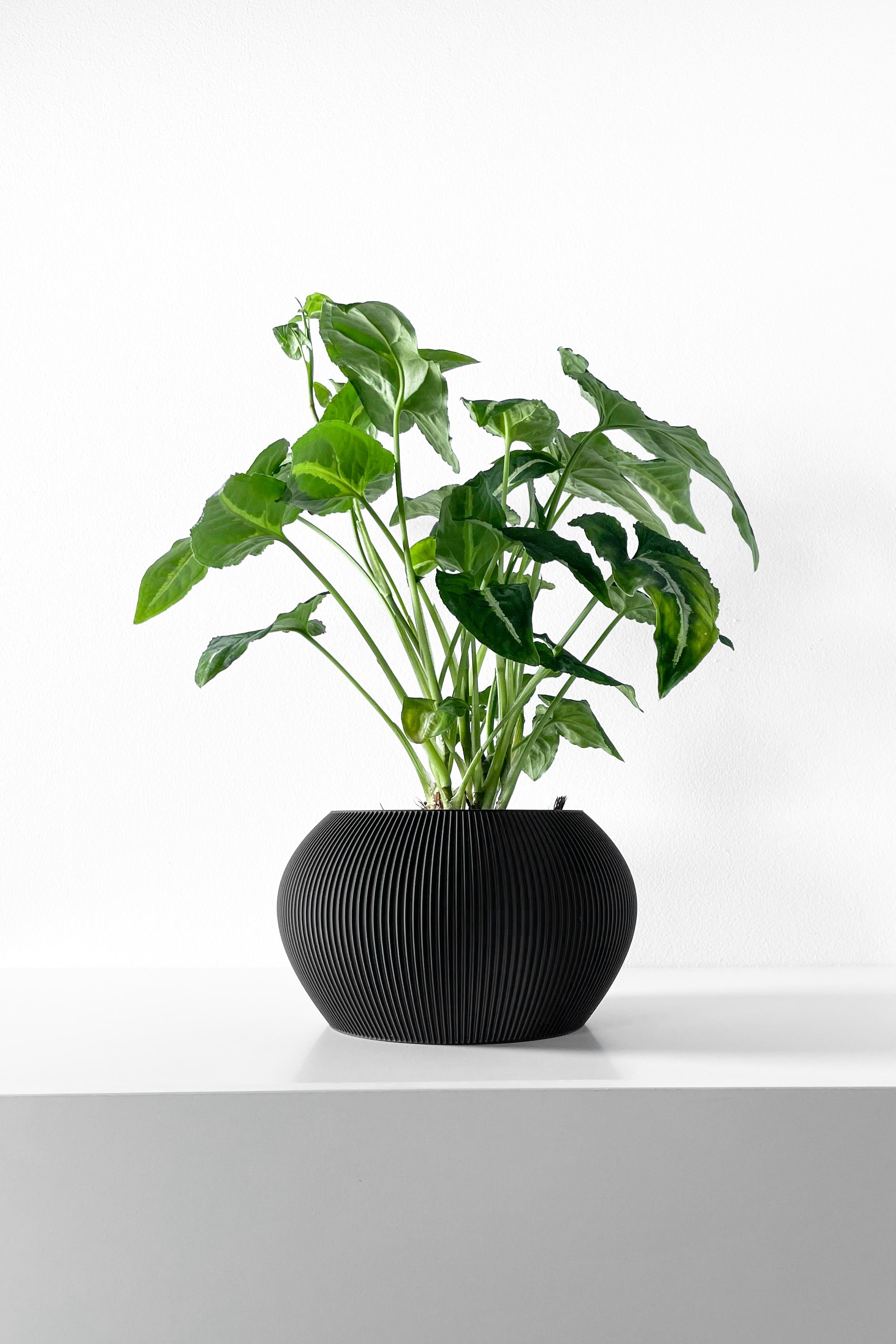 The Melfi Planter Pot with Drainage Tray & Stand Included | Modern and Unique Home Decor 3d model