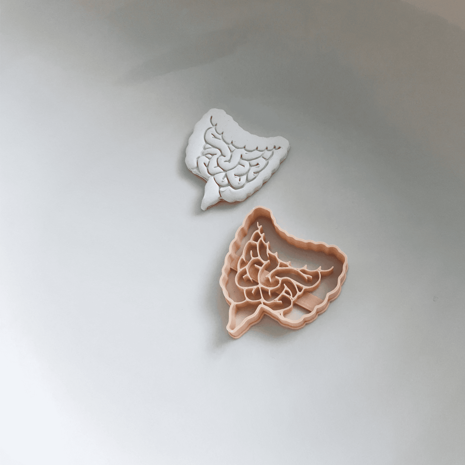 Bowel Model Cookie Cutter, Biscuit Cutter 3d model