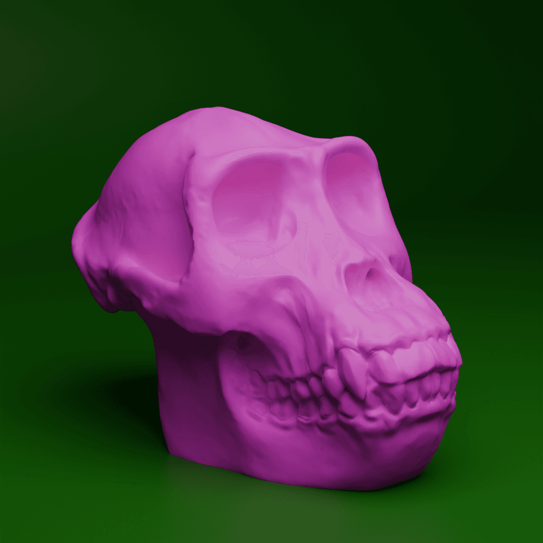 Gorilla Skull (MysticMesh3D) 3d model